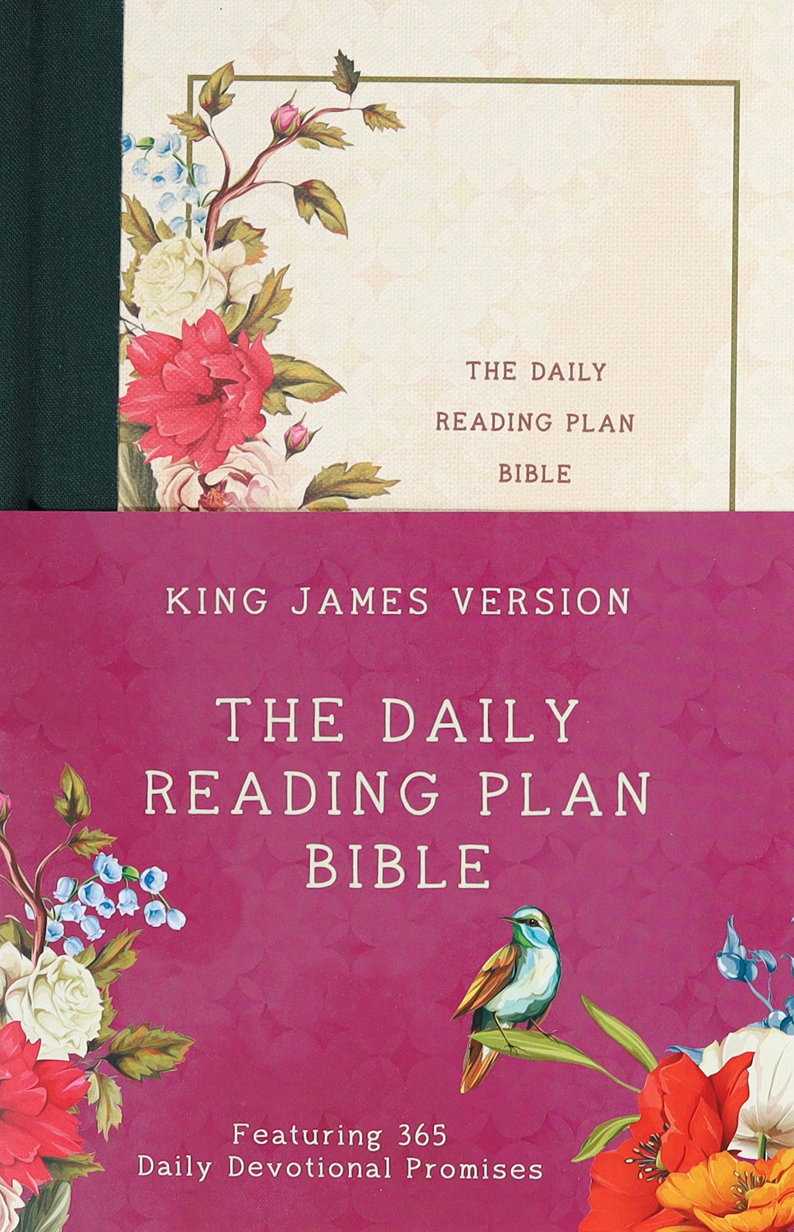 KJV Daily Reading Plan Bible Nightingale