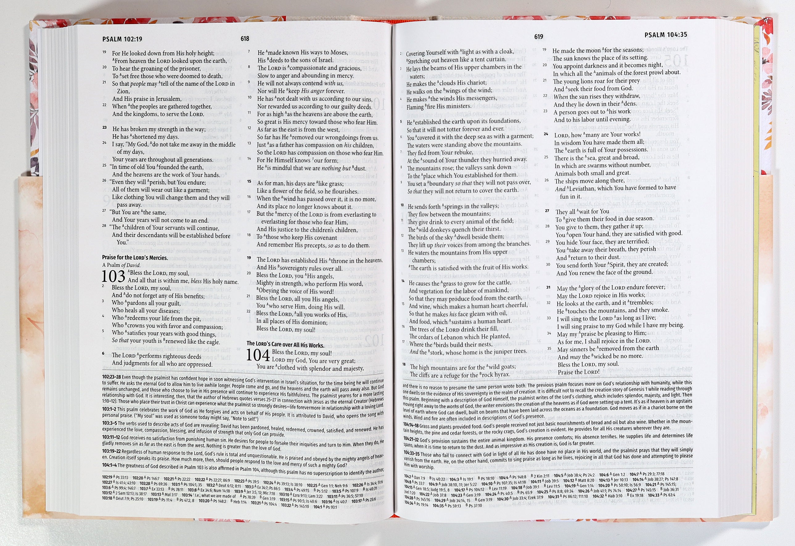 NASB Light For Life Study Bible Golden Fields