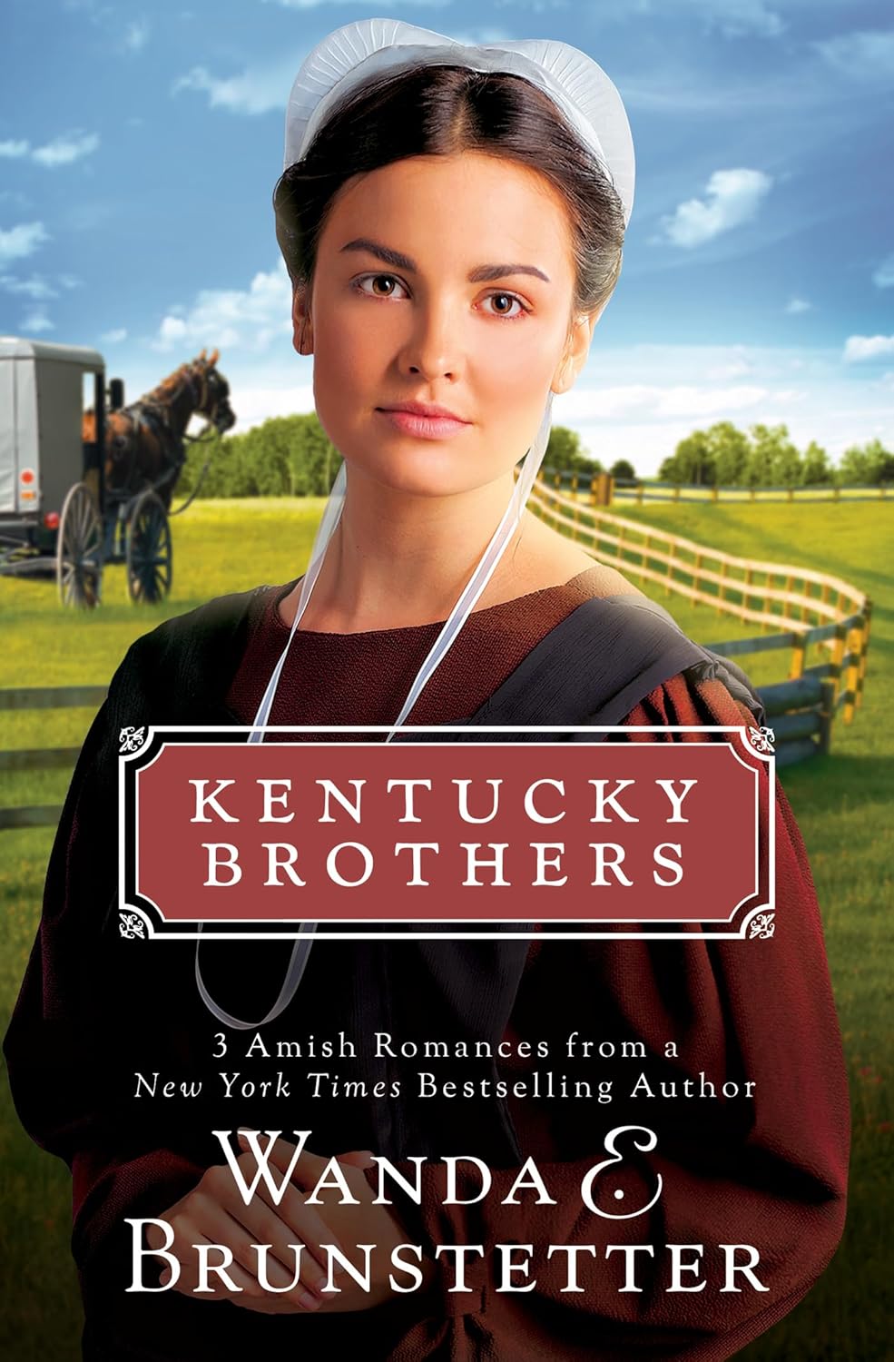 Kentucky Brothers Triology (The Journey, the Healing, the Struggle) (Kentucky Brothers Series)