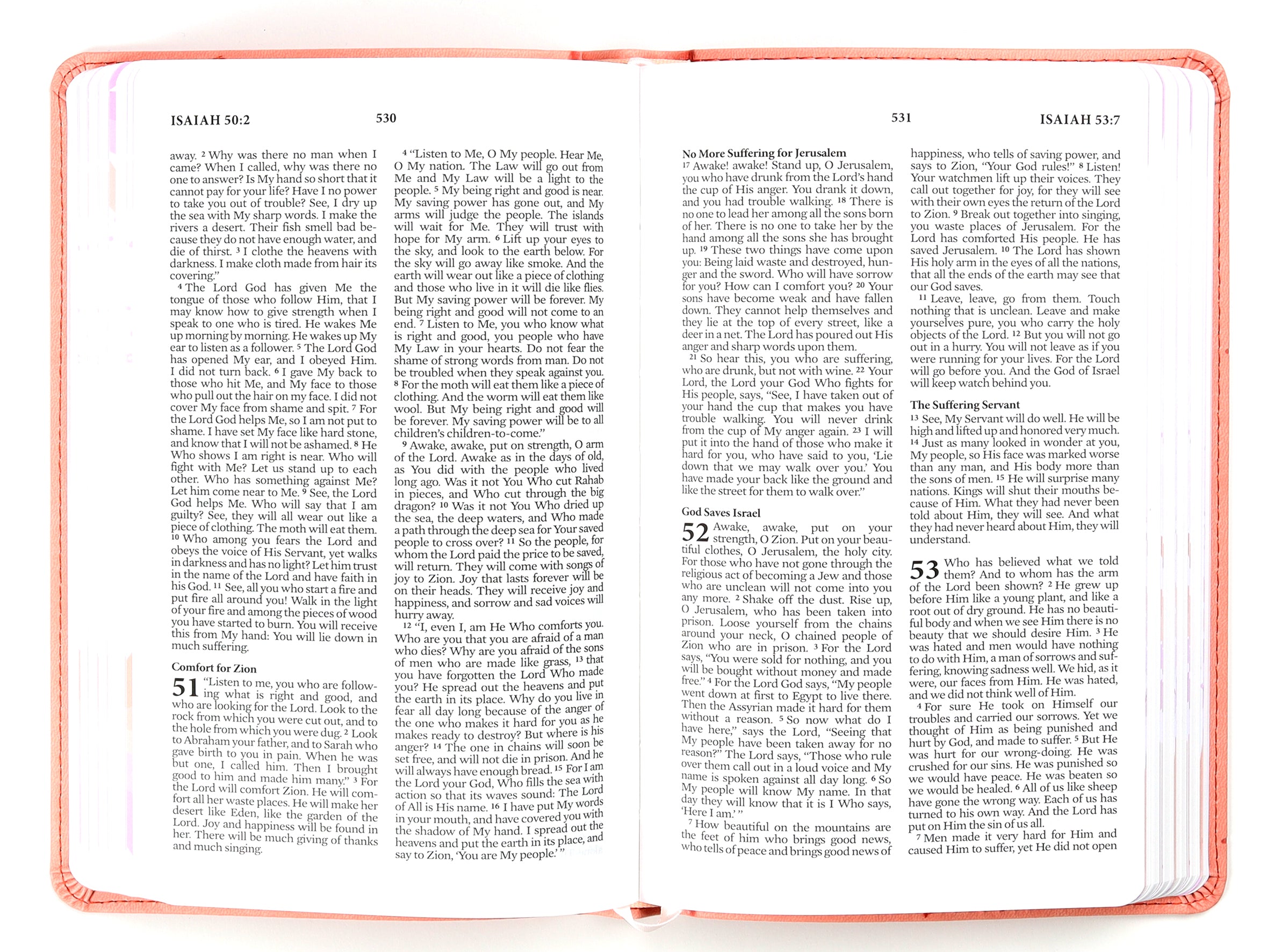 NLV  the Prayer Map Bible For Teen Girls