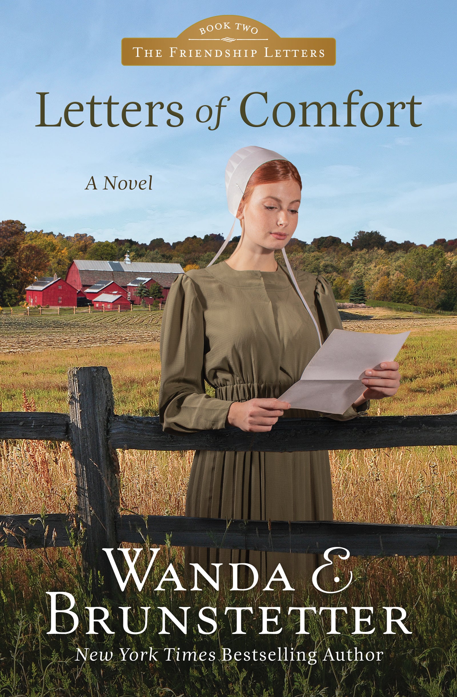 Letters of Comfort (#02 in Friendship Letters Series)