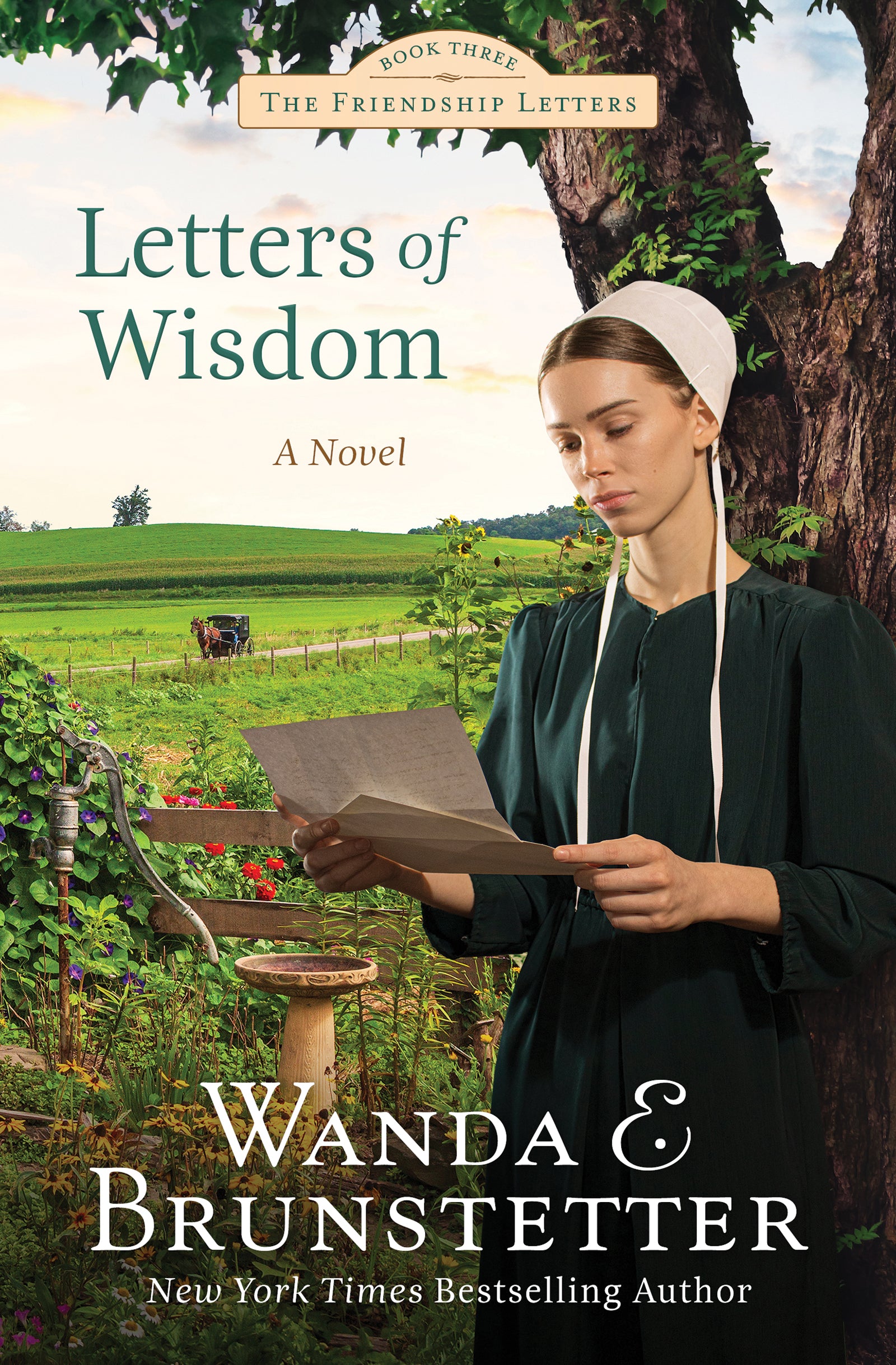 Letters of Wisdom (#03 in Friendship Letters Series)