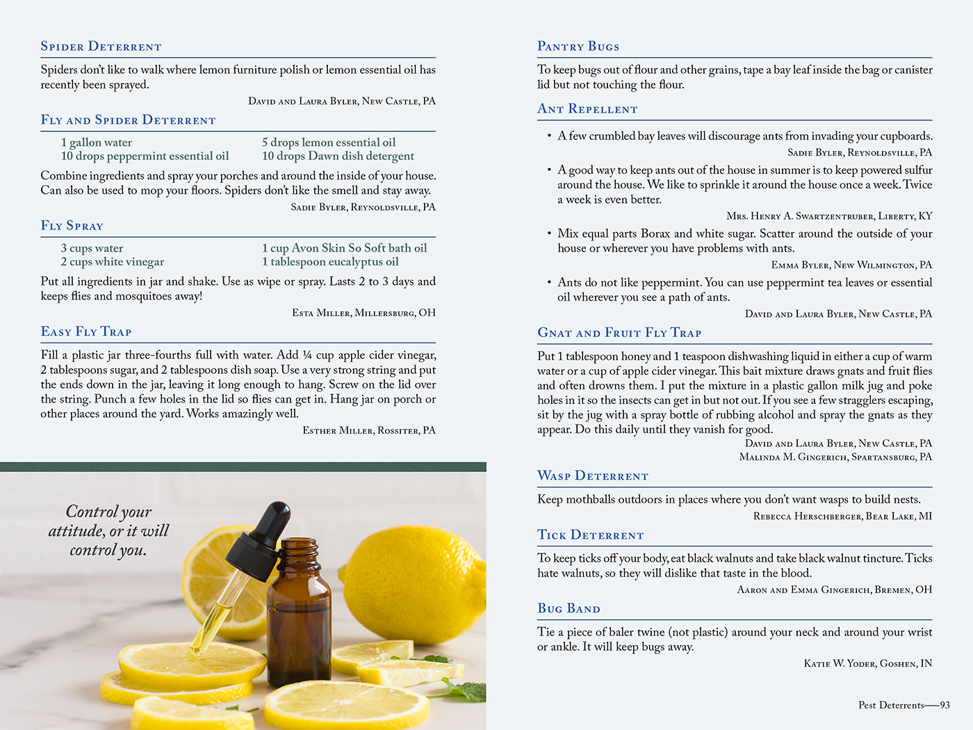Wanda E. Brunstetter's Amish Friends Life Hacks: Hundreds of Tips for Cooking, Cleaning, Gardening, Wellness, and More