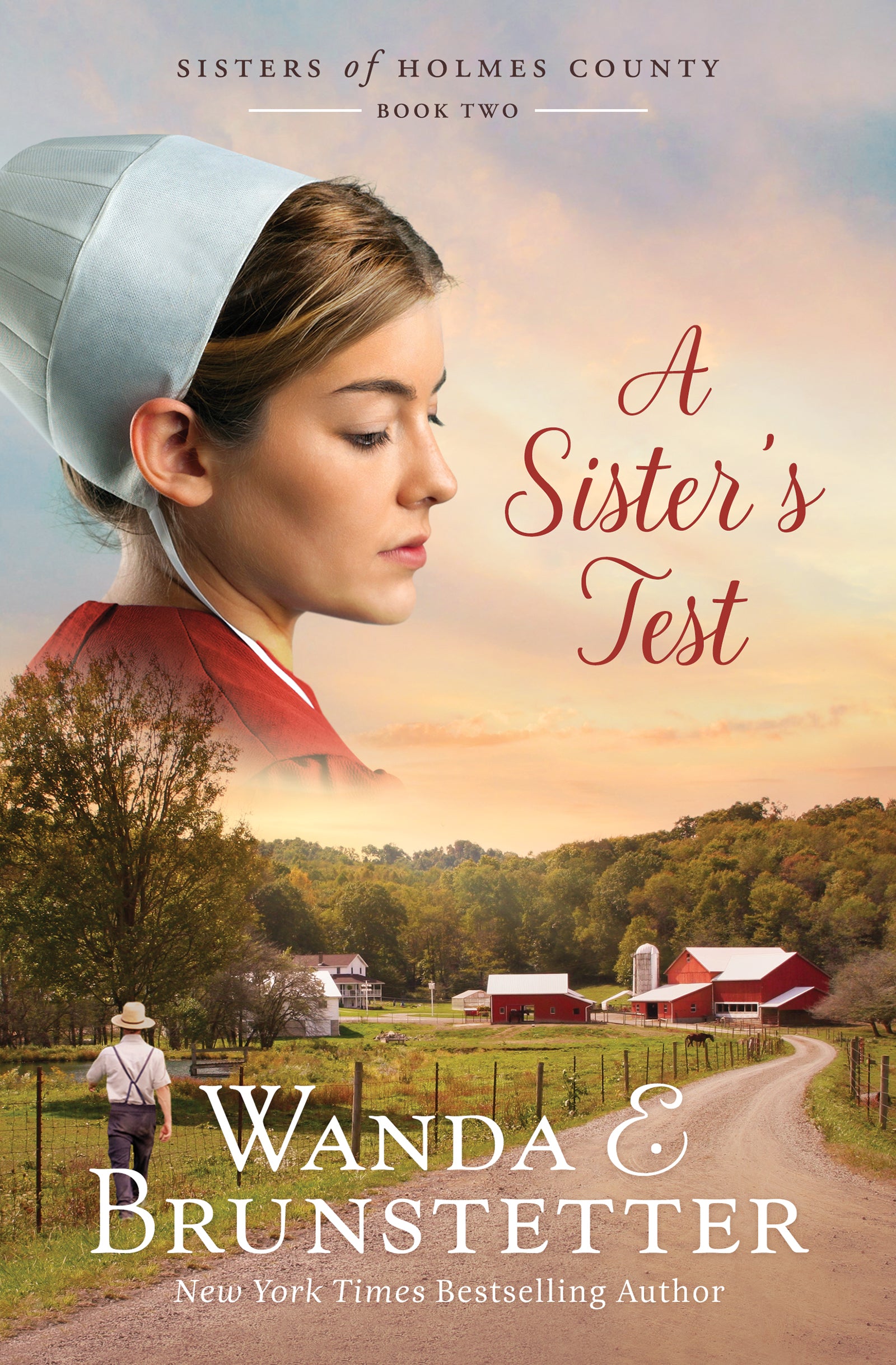 A Sister's Test (Sisters Of Holmes County Series)