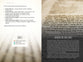 The 365-Day Bible Overview: A Clear and Easy Plan For Understanding God?S Word