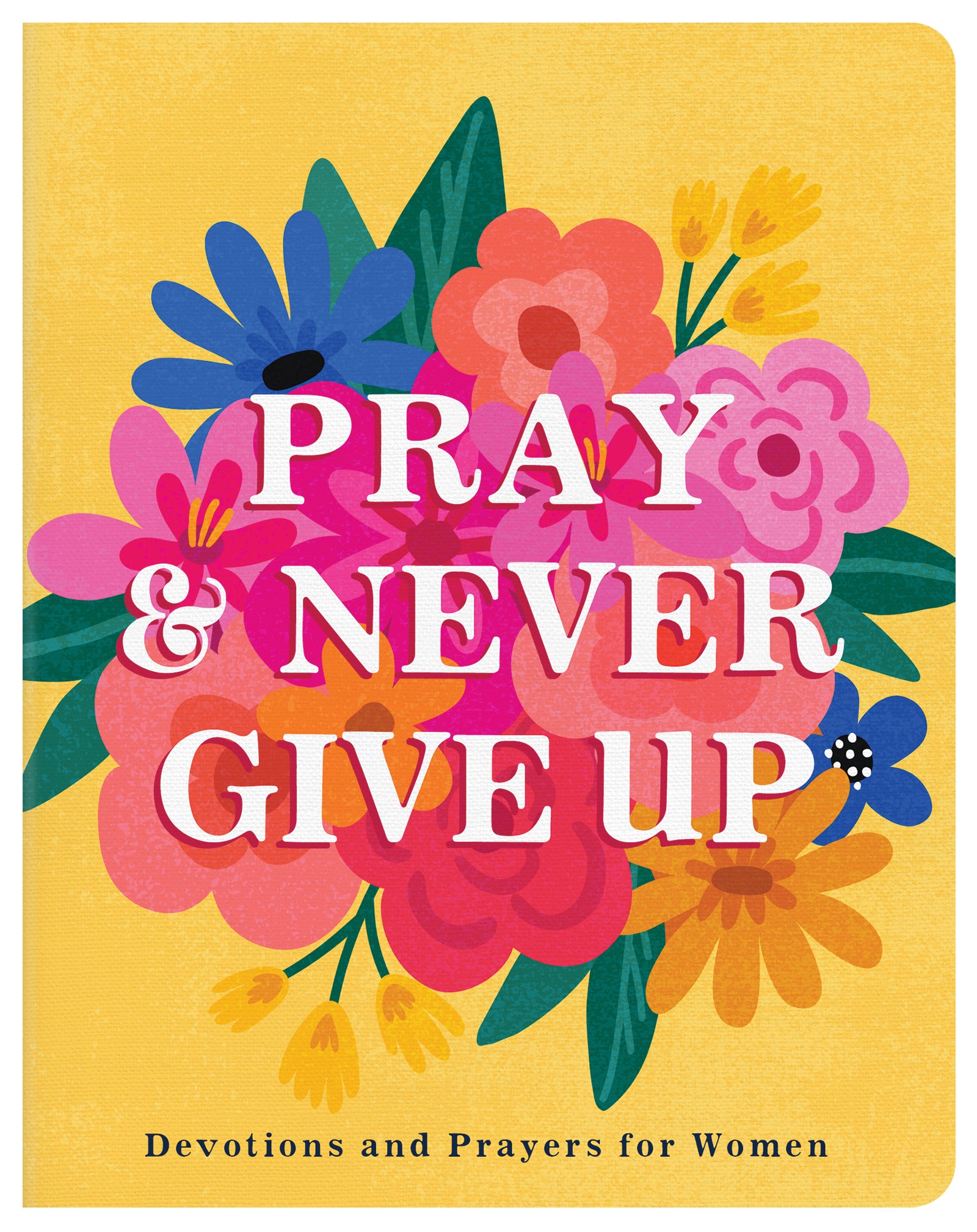 Pray and Never Give Up: Devotions and Prayers For Women