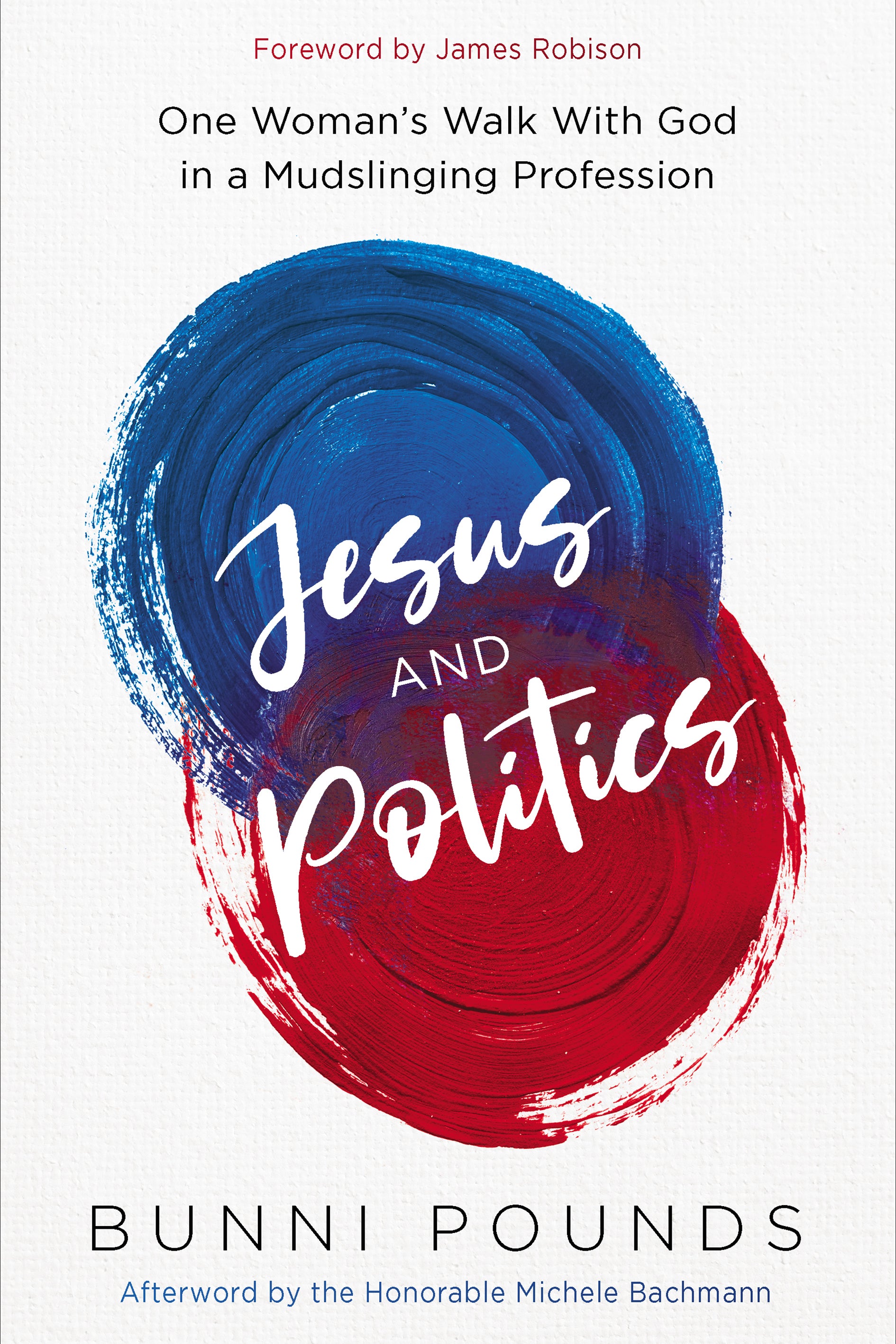 Jesus and Politics: One Woman's Walk With God in a Mudslinging Profession