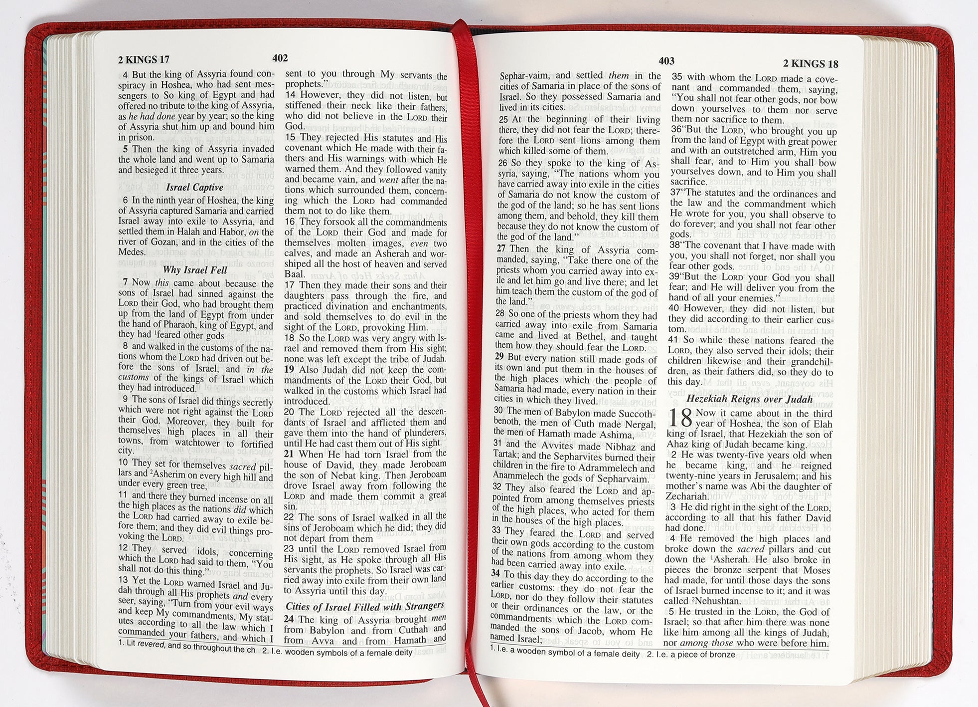 NASB Holy Bible Children's Edition Sunset Red (Red Letter Edition)
