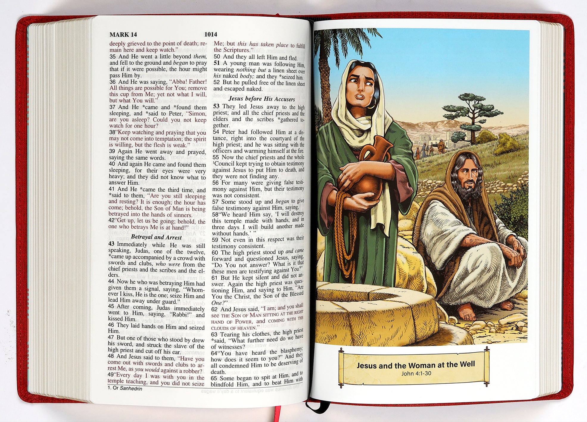 NASB Holy Bible Children's Edition Sunset Red (Red Letter Edition)