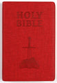 NASB Holy Bible Children's Edition Sunset Red (Red Letter Edition)