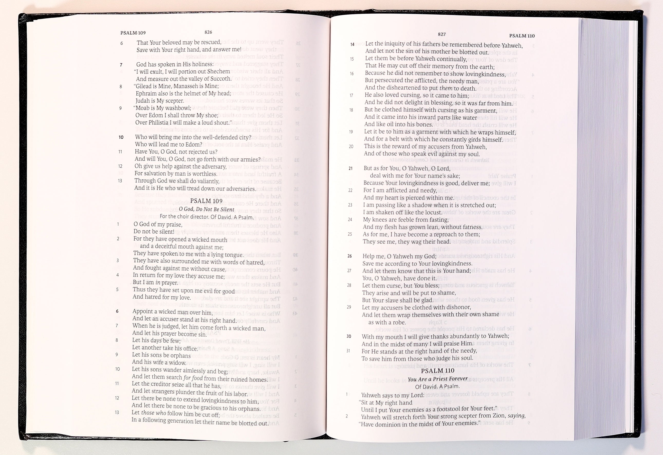 Lsb Legacy Standard Bible Single Column Black (Black Letter Edition)
