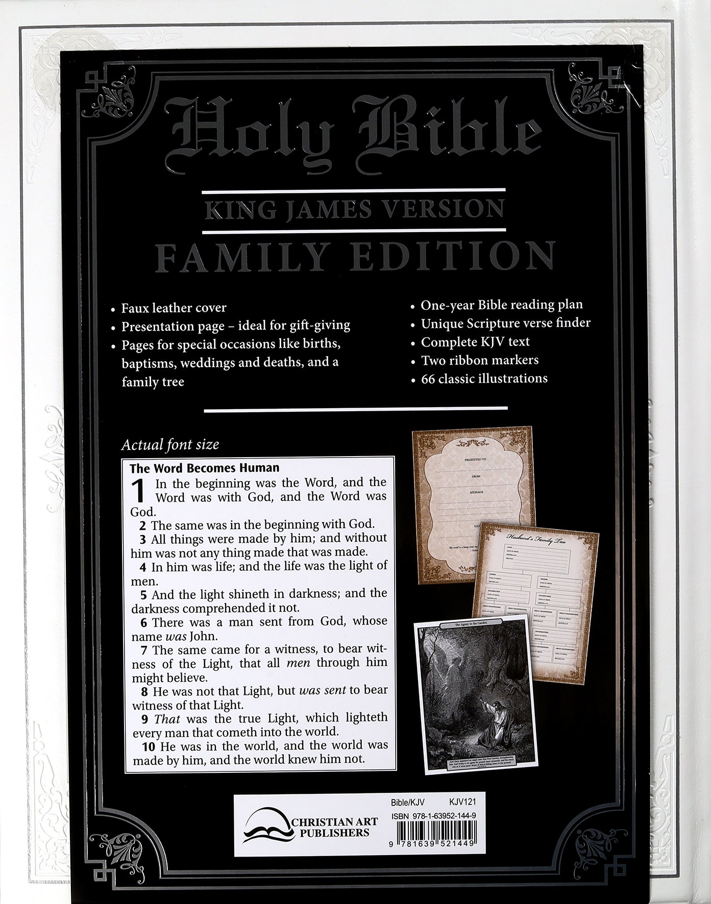 KJV Holy Bible Classically Illustrated Heirloom Family Bible White/Silver