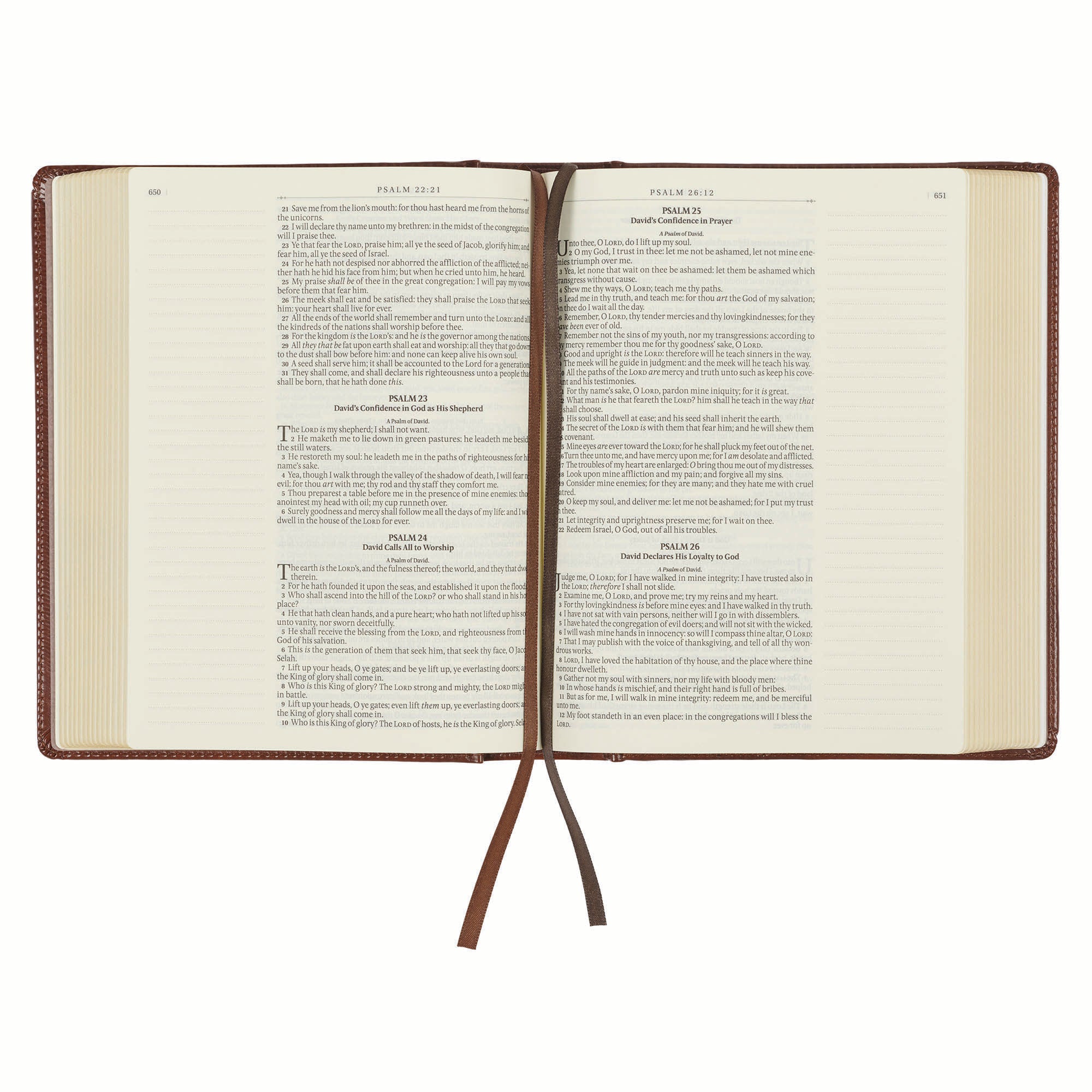 KJV Note-Taking Bible, Brown/Gold Foil (Black Letter Edition)