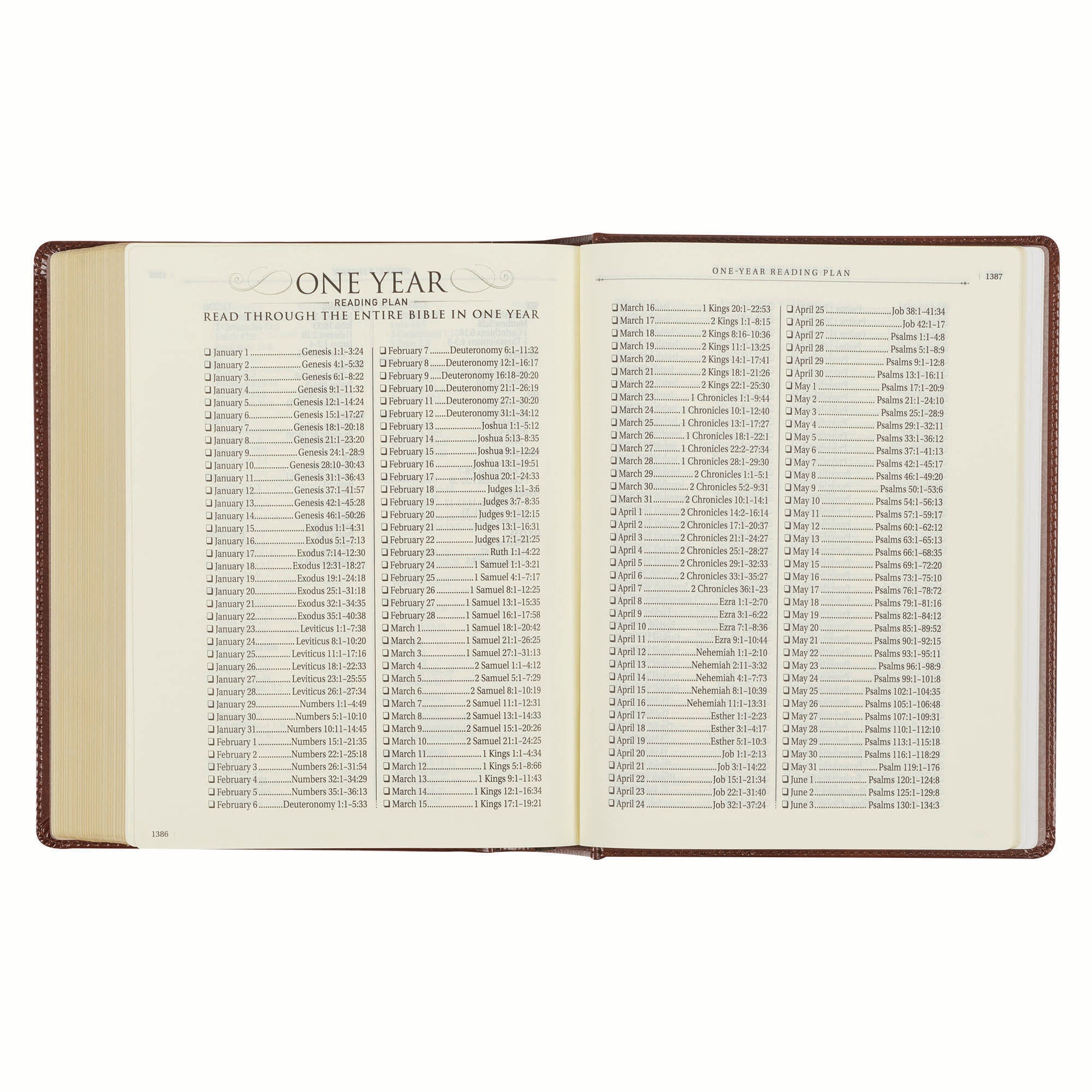 KJV Note-Taking Bible, Brown/Gold Foil (Black Letter Edition)