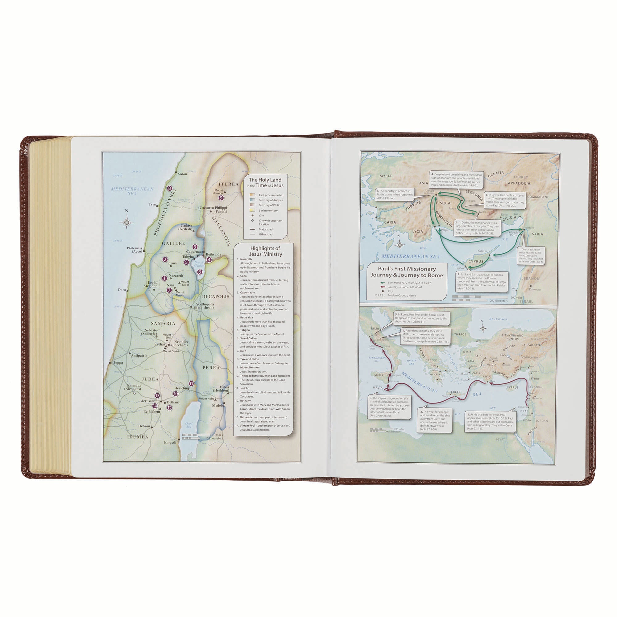 KJV Note-Taking Bible, Brown/Gold Foil (Black Letter Edition)