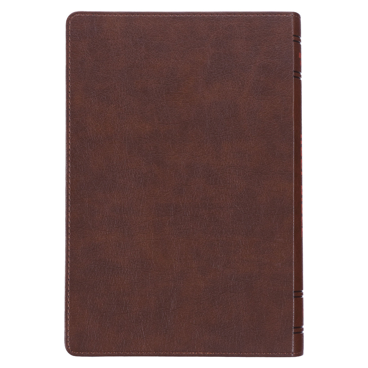 KJV Holy Bible For Children Thumb Index Brown Lion