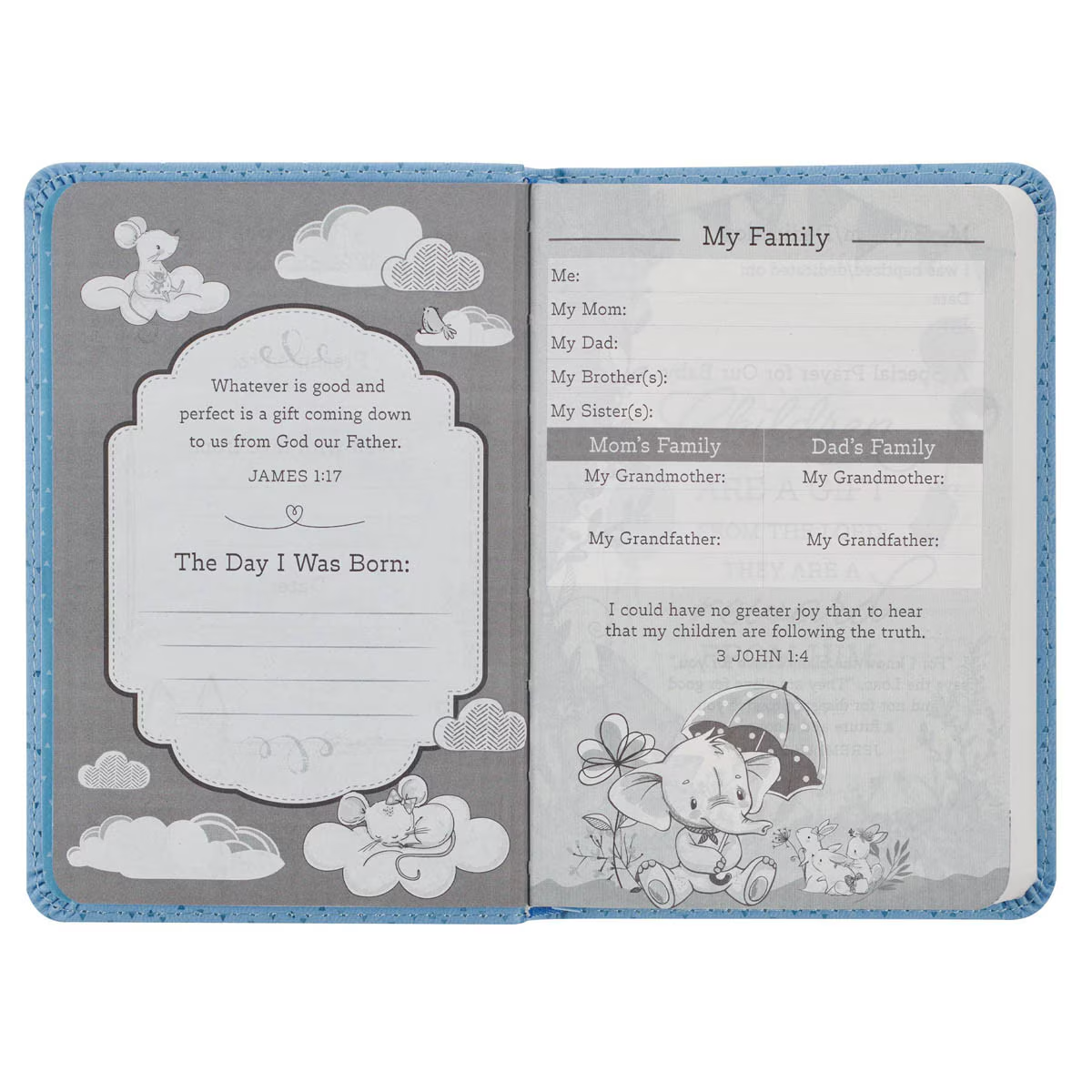 NLT Bible Blue (Black Letter Edition)