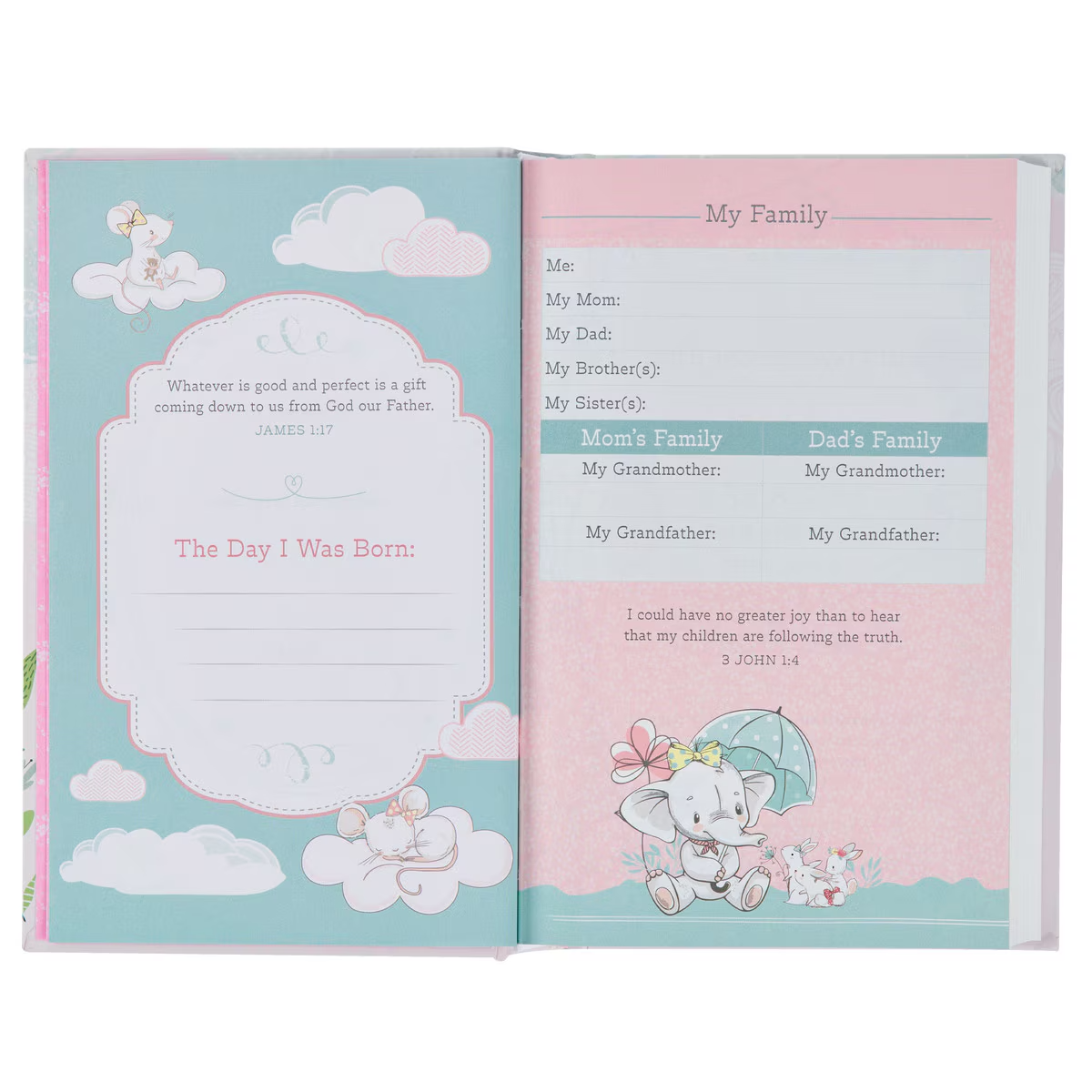 NLT Bible Pink (Black Letter Edition)
