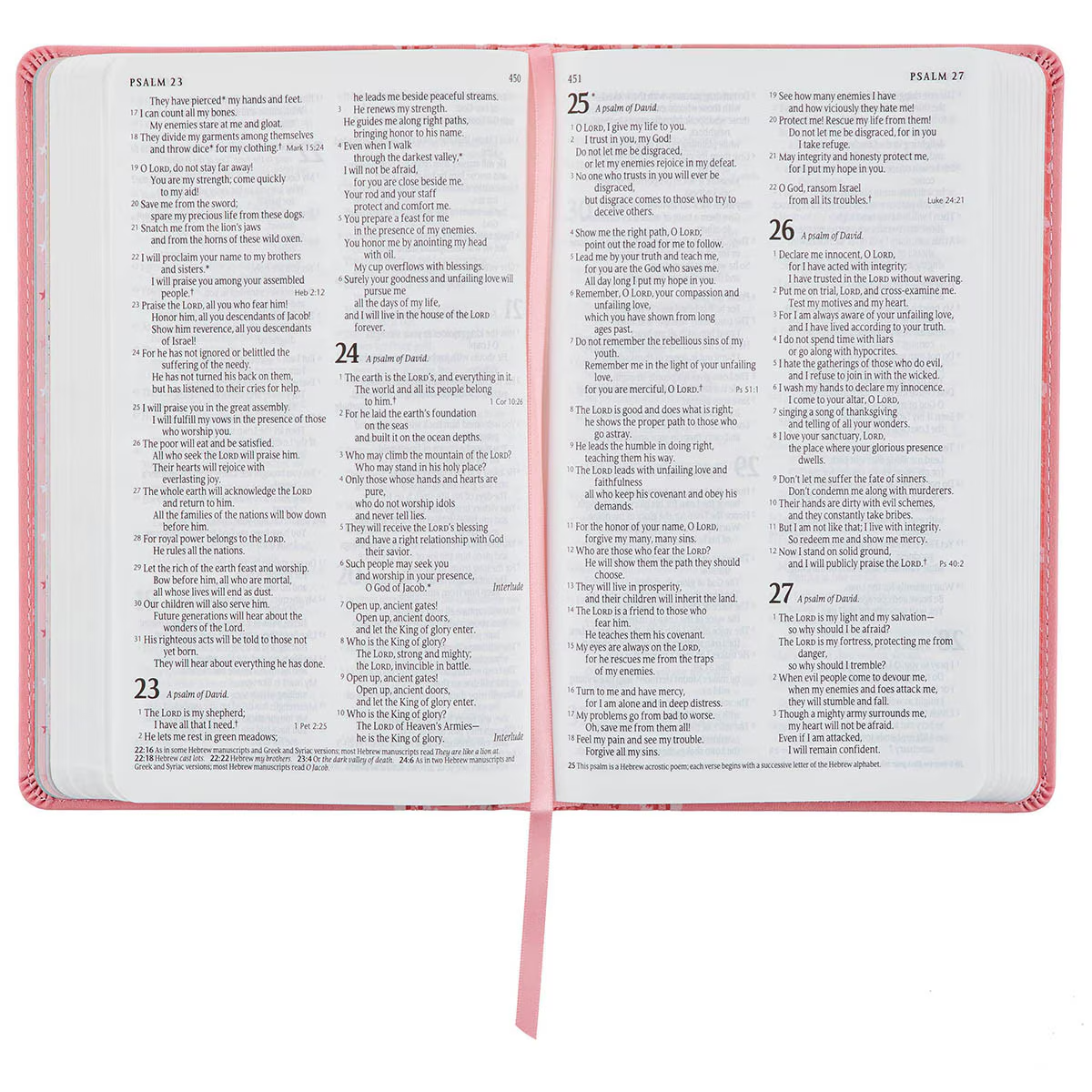 NLT Bible Pink (Black Letter Edition)
