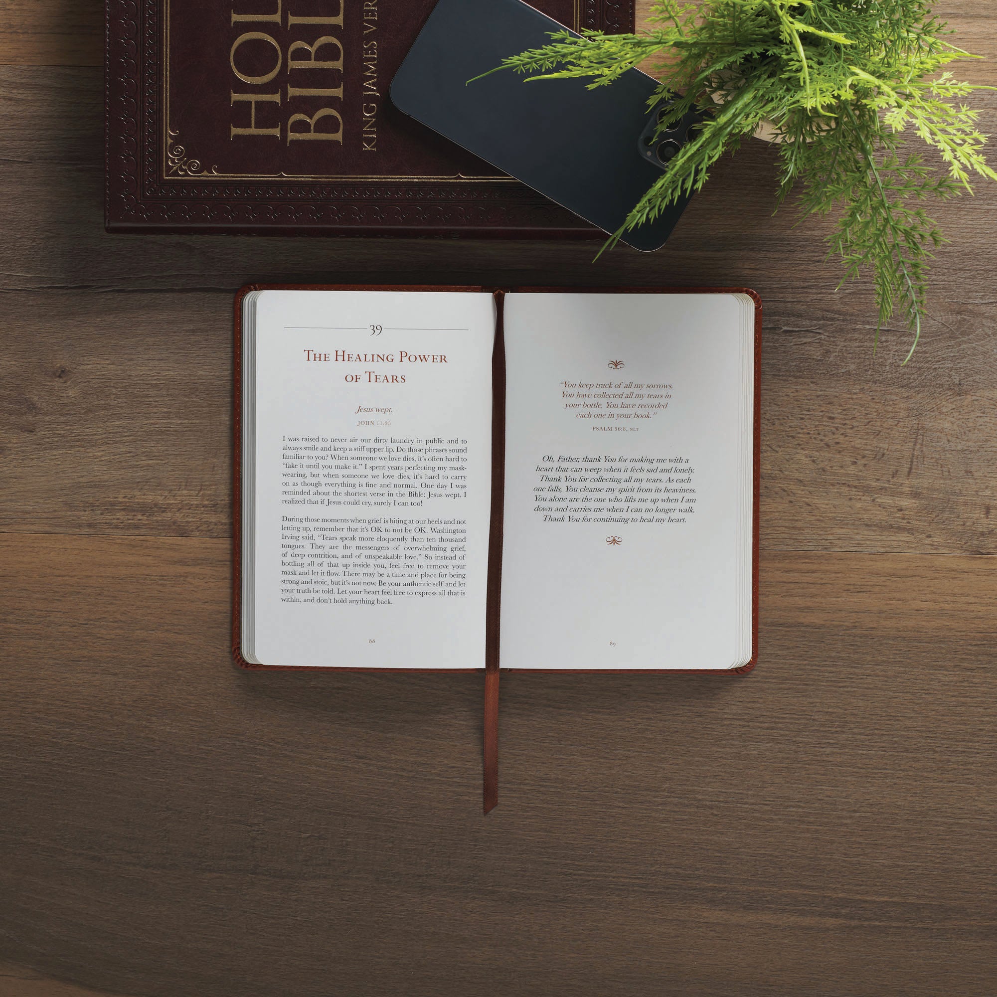 Comforted by God: 100 Days of Healing and Hope for the Grief Journey, Brown