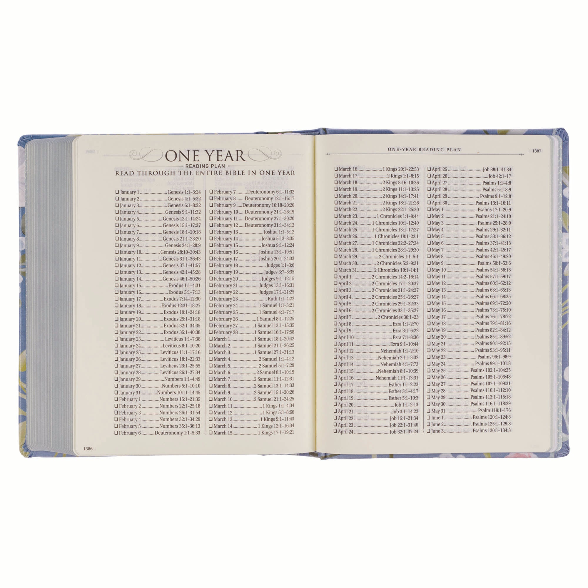 KJV Note-Taking Bible, Blue Floral (Black Letter Edition)