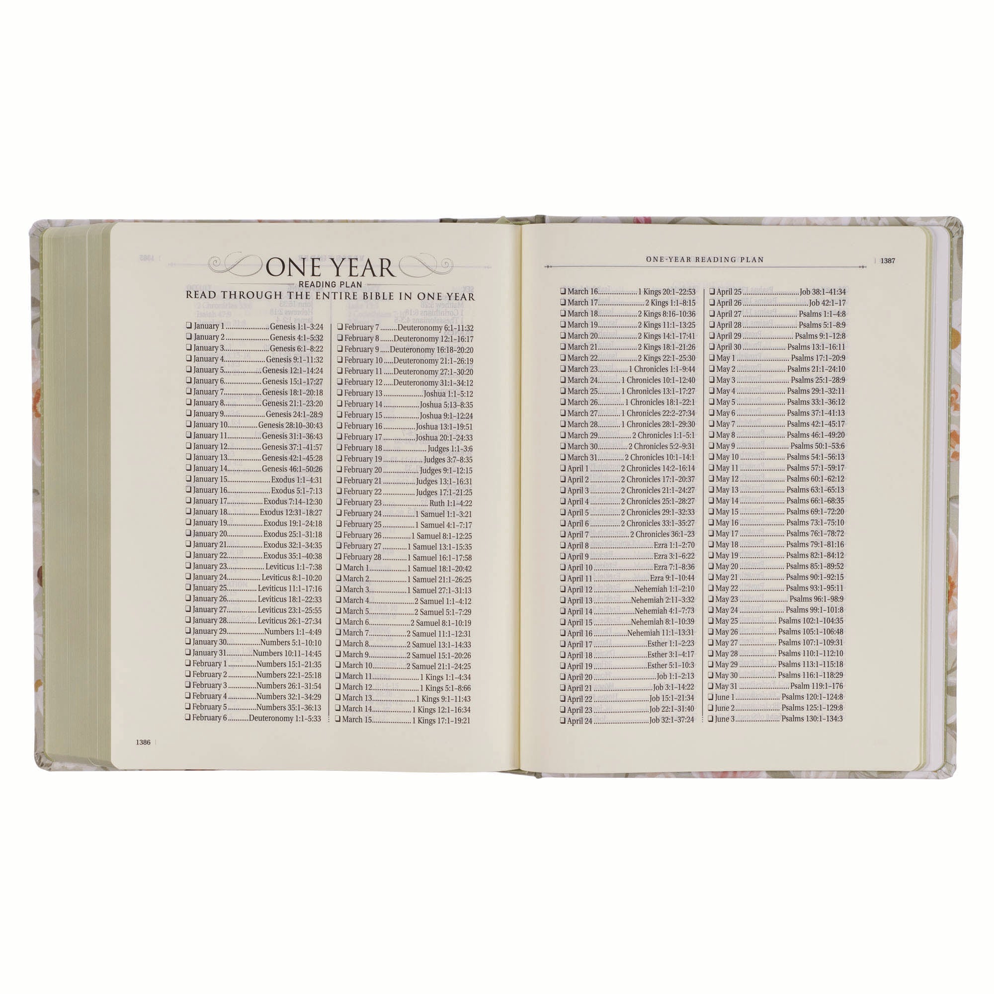 KJV Note-Taking Bible, Large Print, Sage Floral (Black Letter Edition)