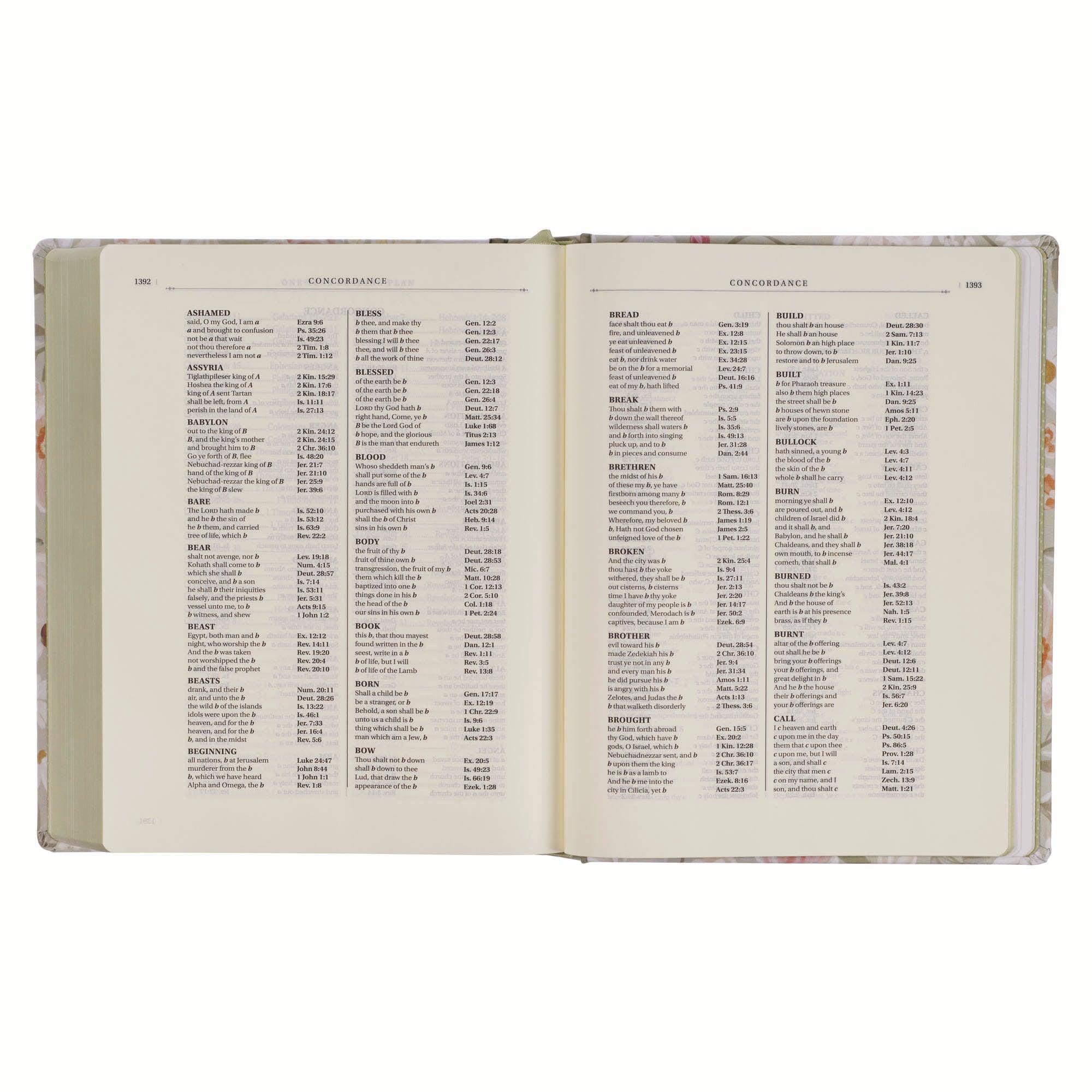 KJV Note-Taking Bible, Large Print, Sage Floral (Black Letter Edition)