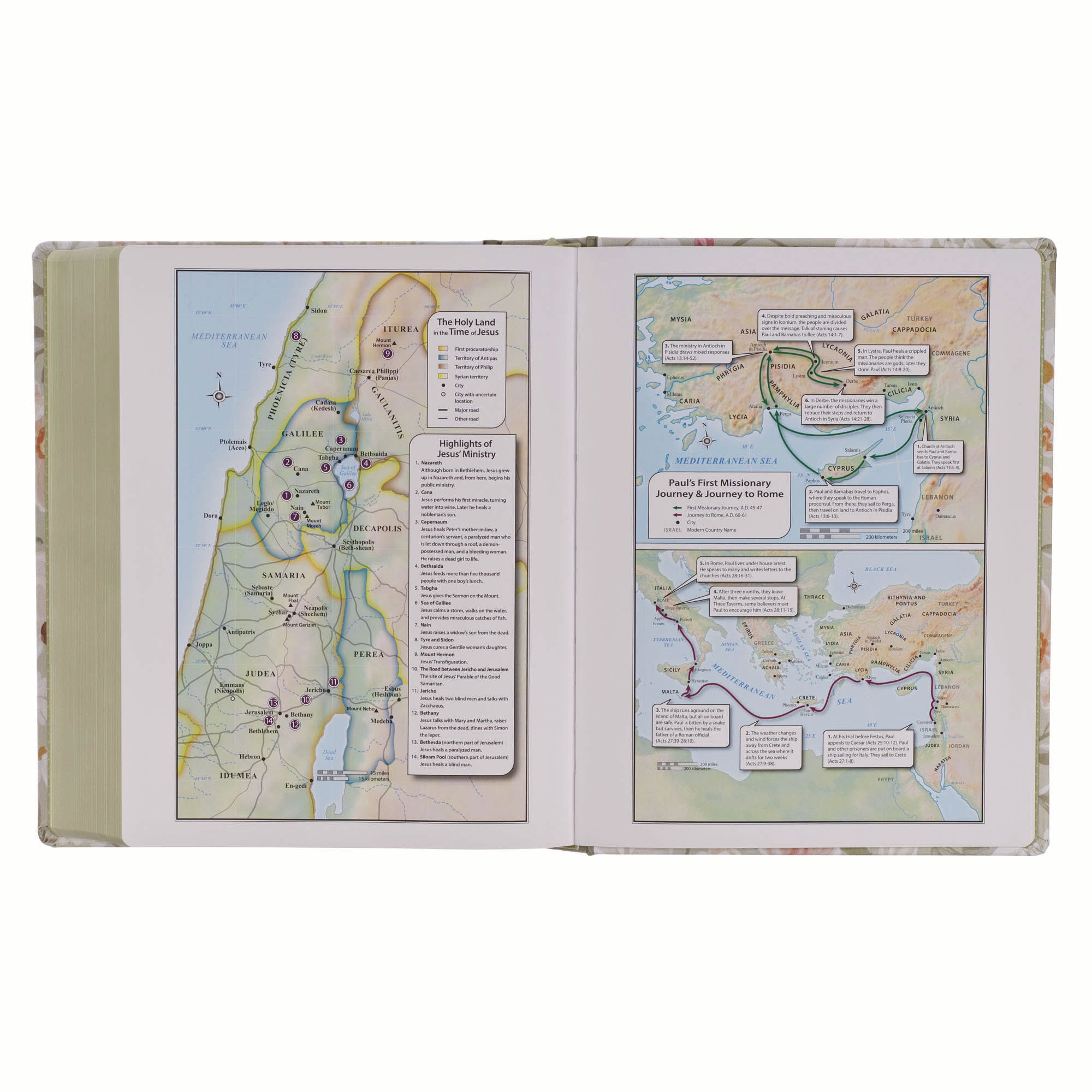 KJV Note-Taking Bible, Large Print, Sage Floral (Black Letter Edition)