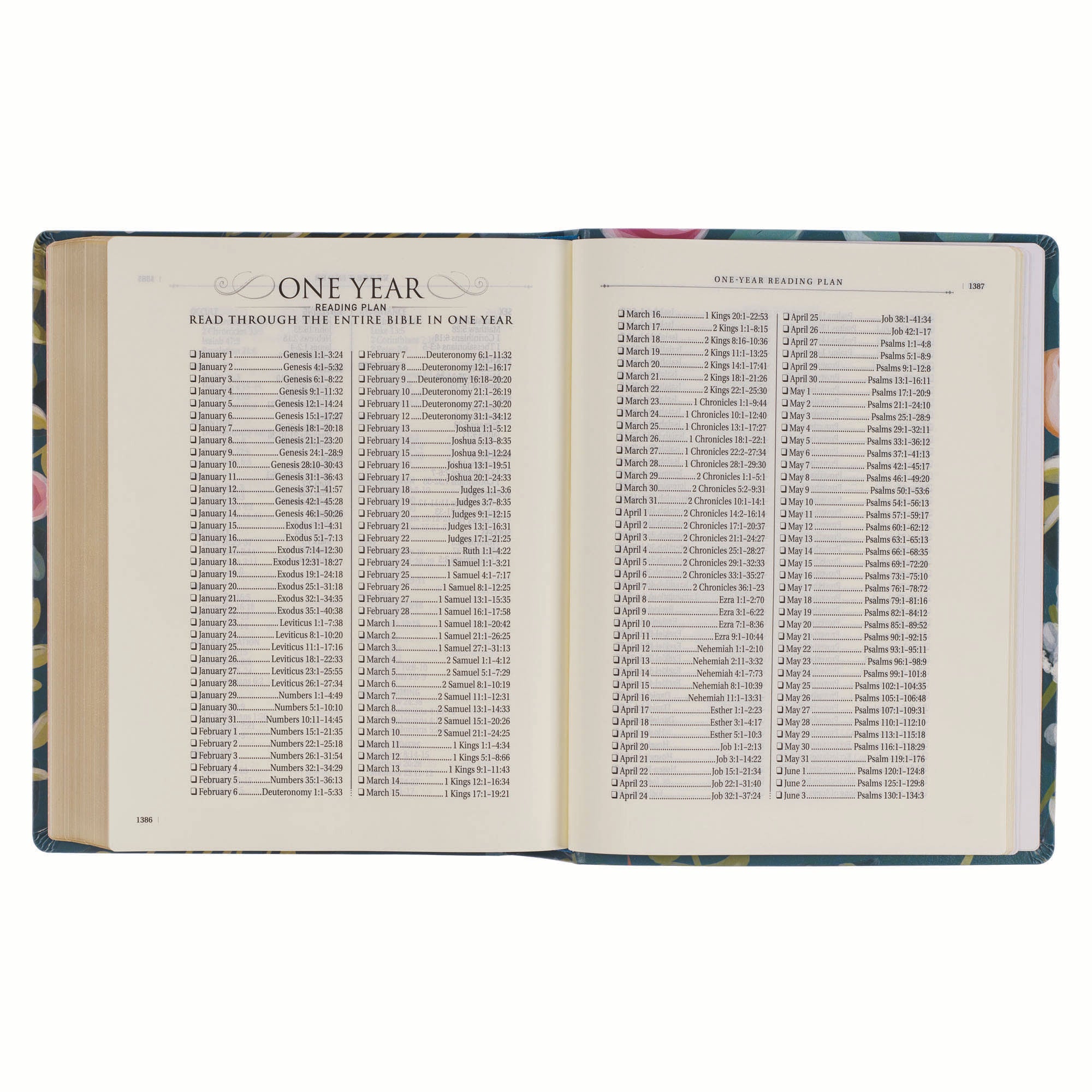 KJV Note-Taking Bible, Large Print, Teal Floral (Black Letter Edition)