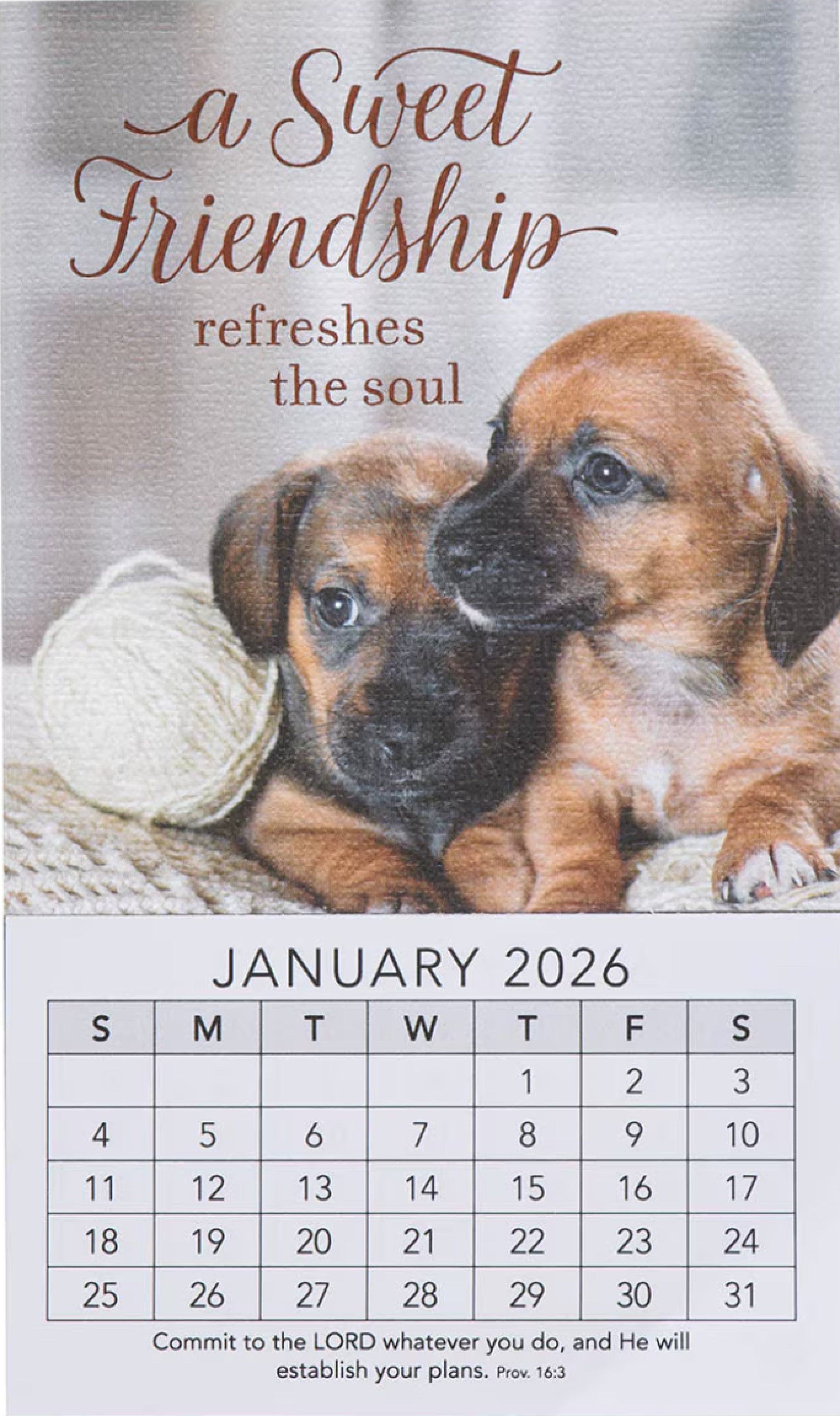 2026 Mini Magnetic Calendar: A Sweet Friendship, Dogs