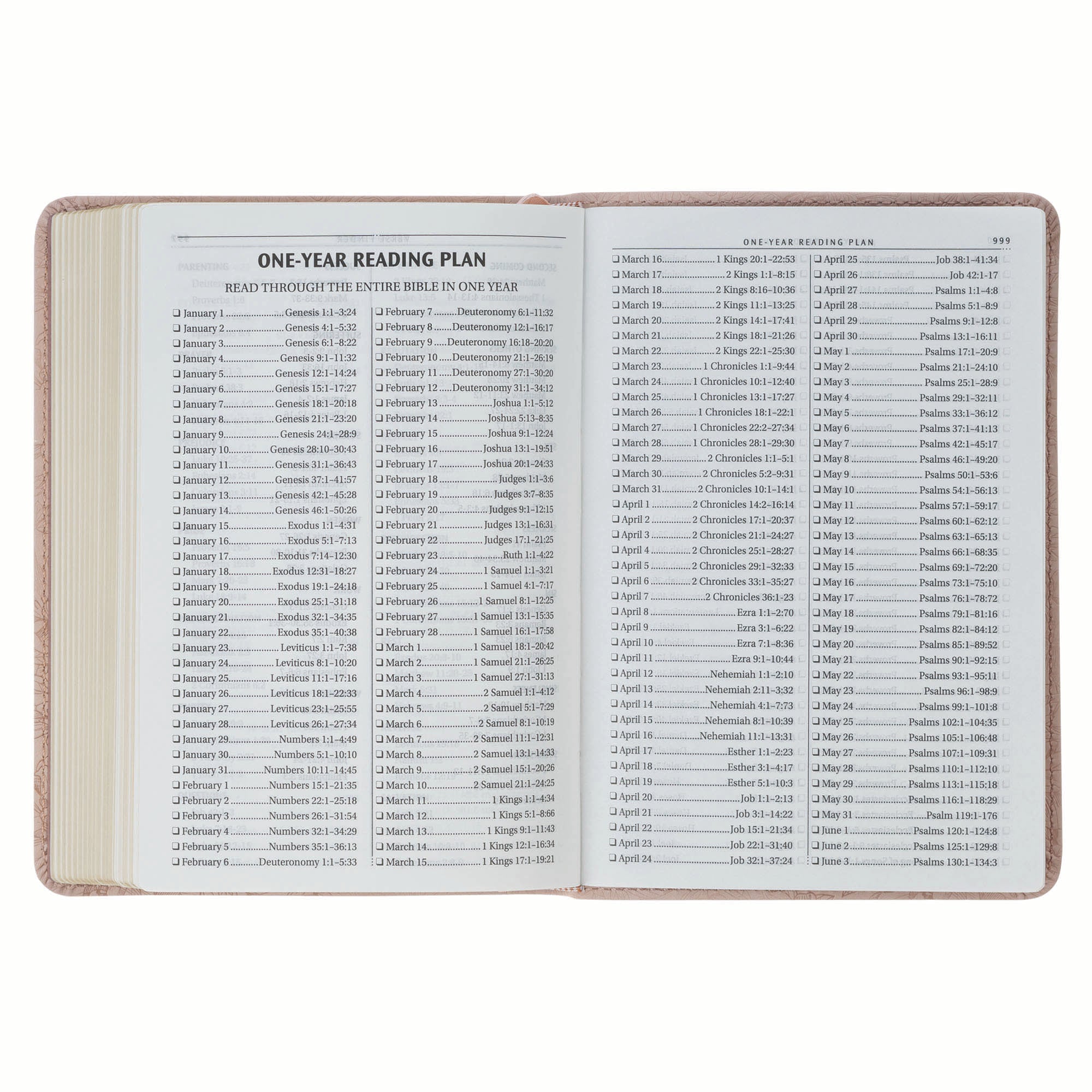KJV Bible Compact, Pink