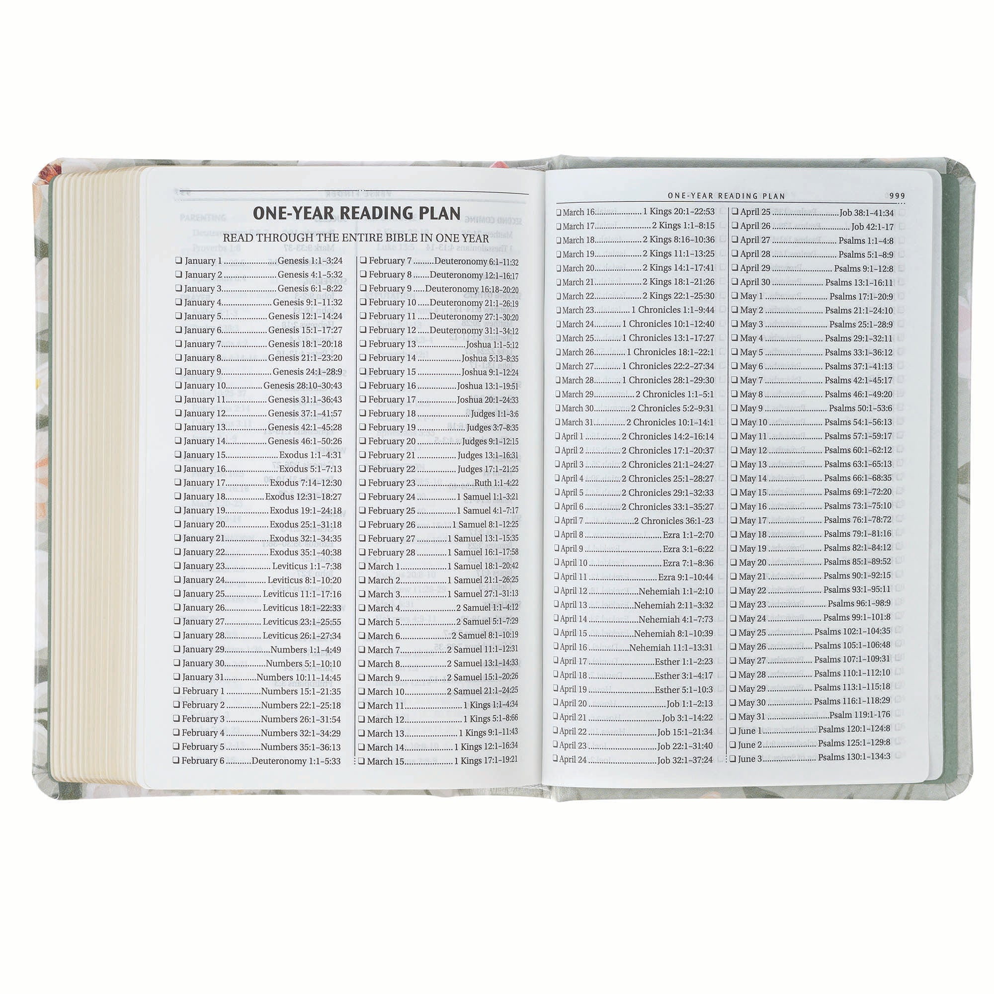 KJV Bible Compact, Gray Floral Printed (Ps. 23:3)