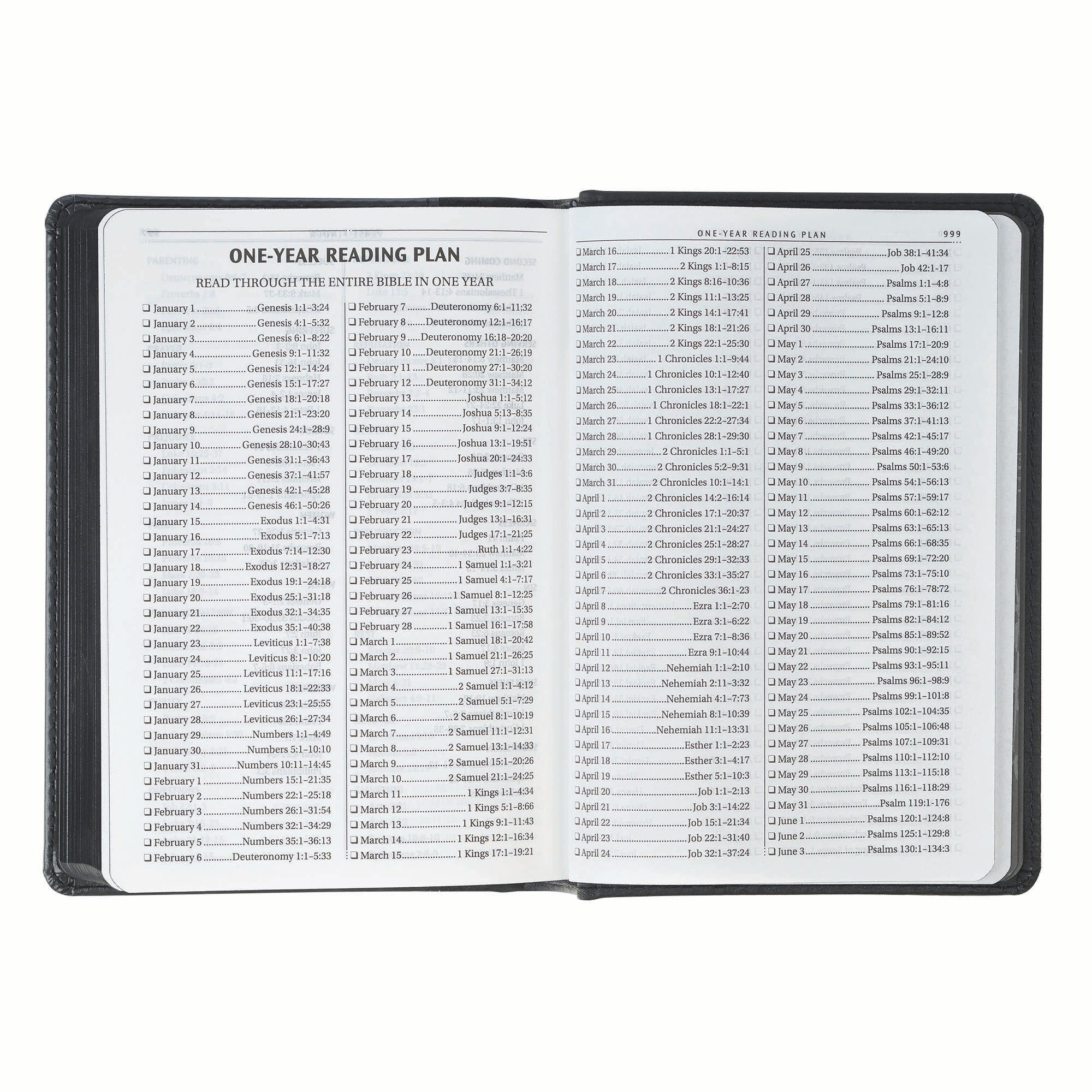 KJV Bible Compact, Black/Gray