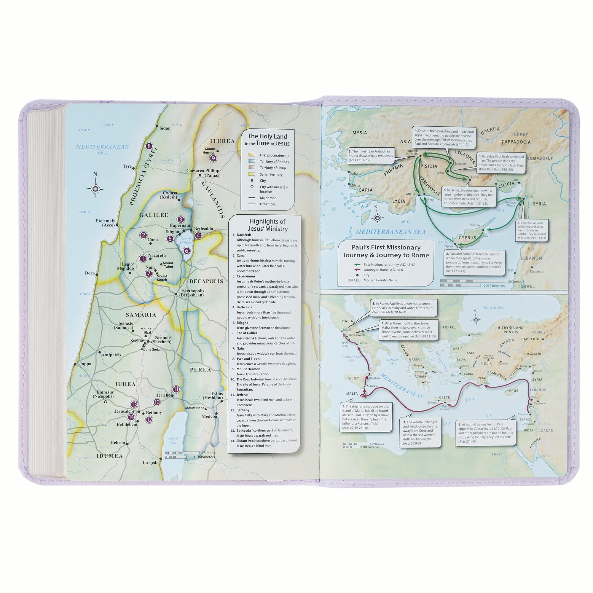KJV Bible Compact Large Print, Purple