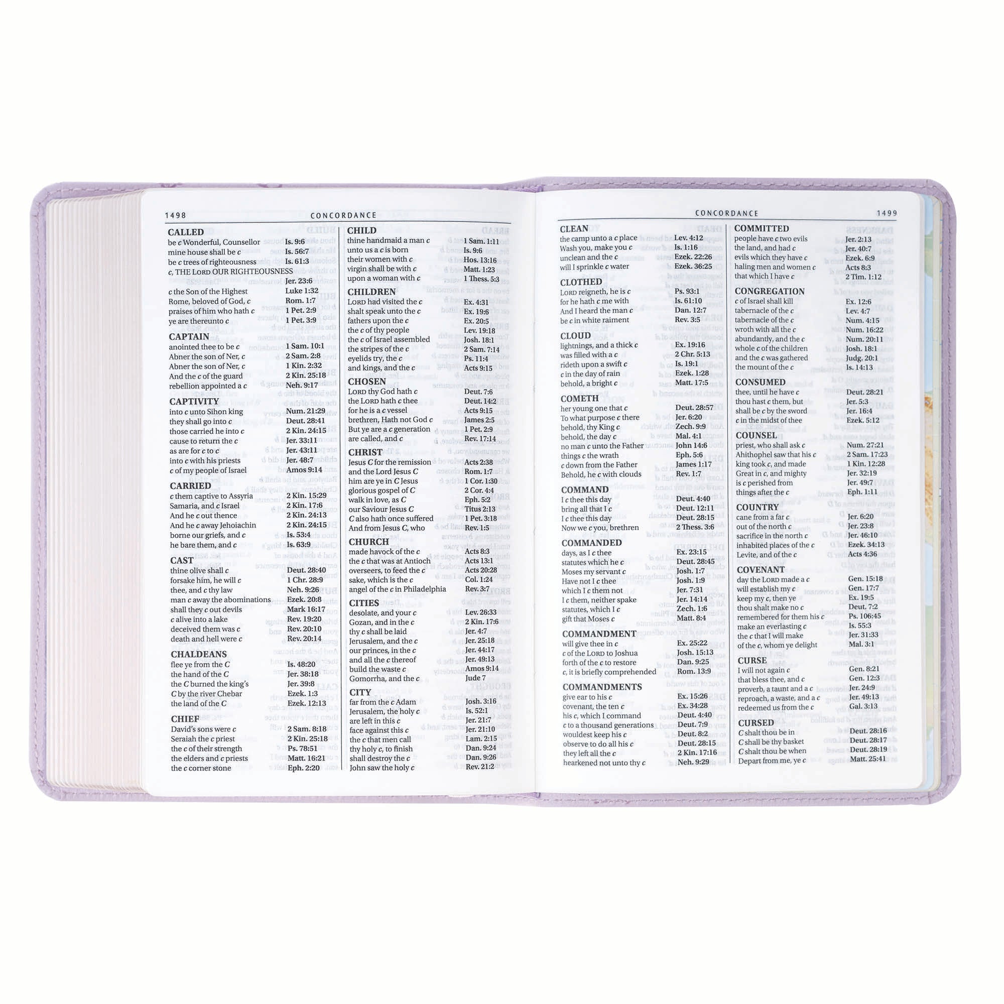 KJV Bible Compact Large Print, Purple