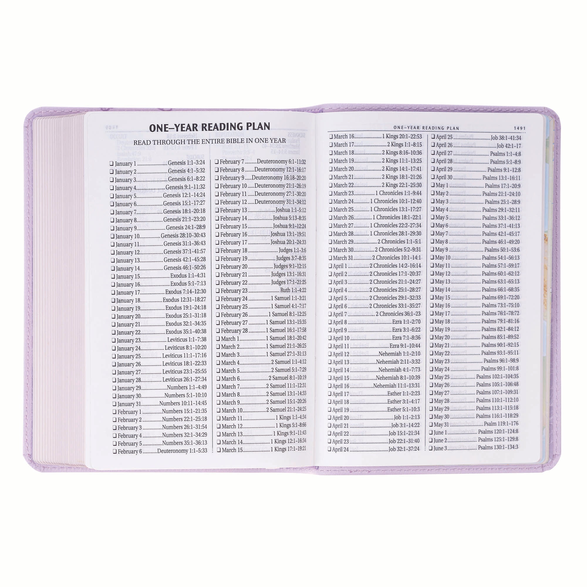 KJV Bible Compact Large Print, Purple