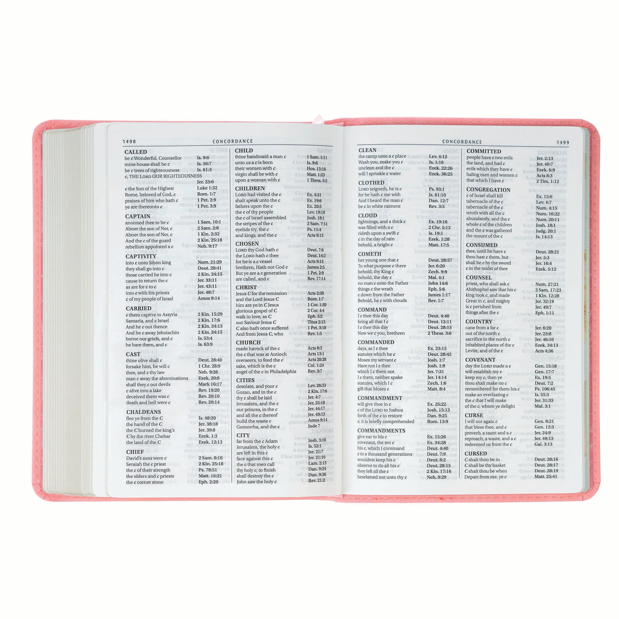 KJV Bible Compact Large Print, Pink