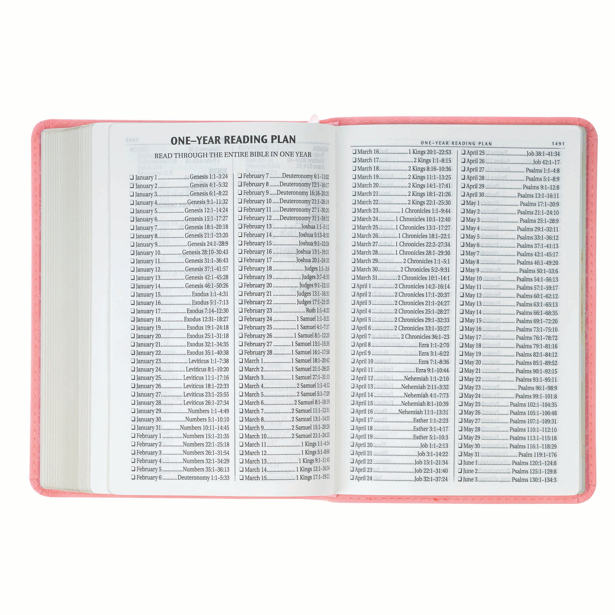 KJV Bible Compact Large Print, Pink