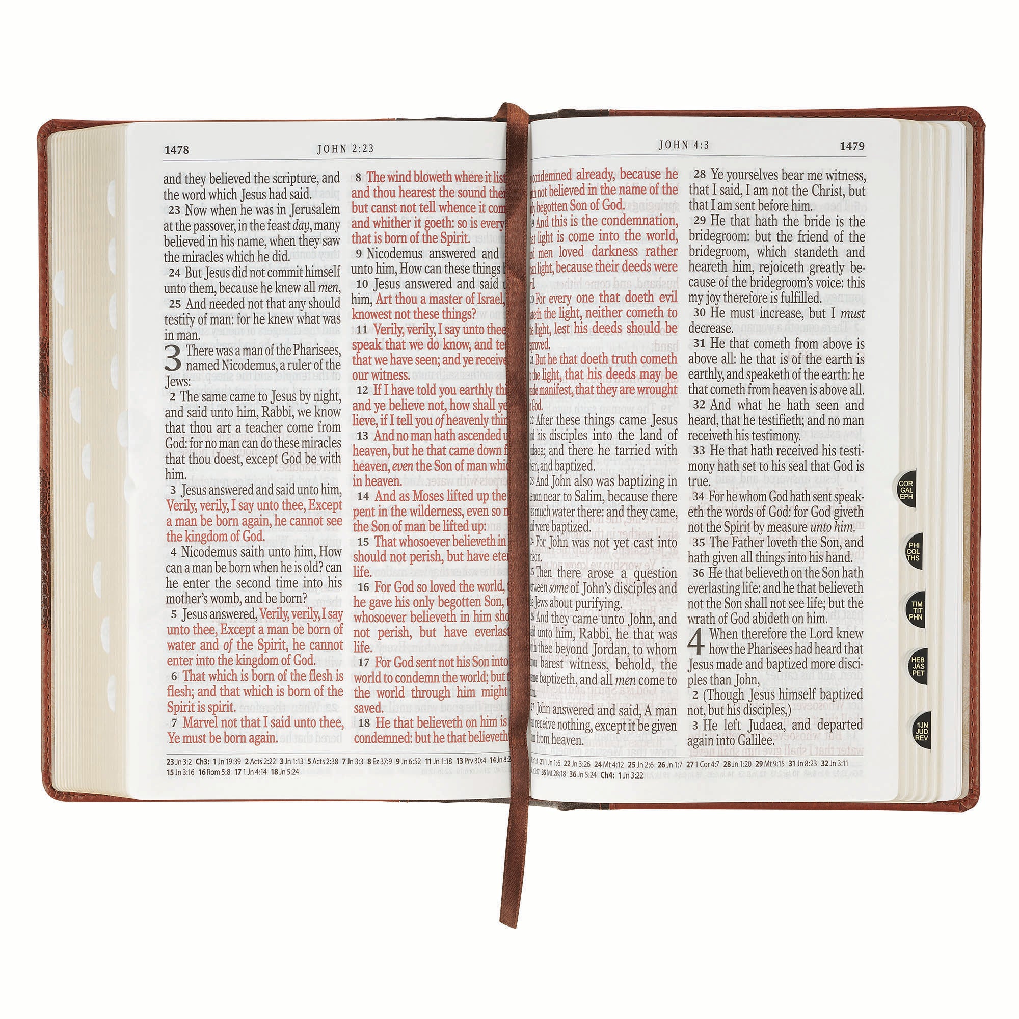 KJV Bible Giant Print Standard-size, Brown Trust Tree