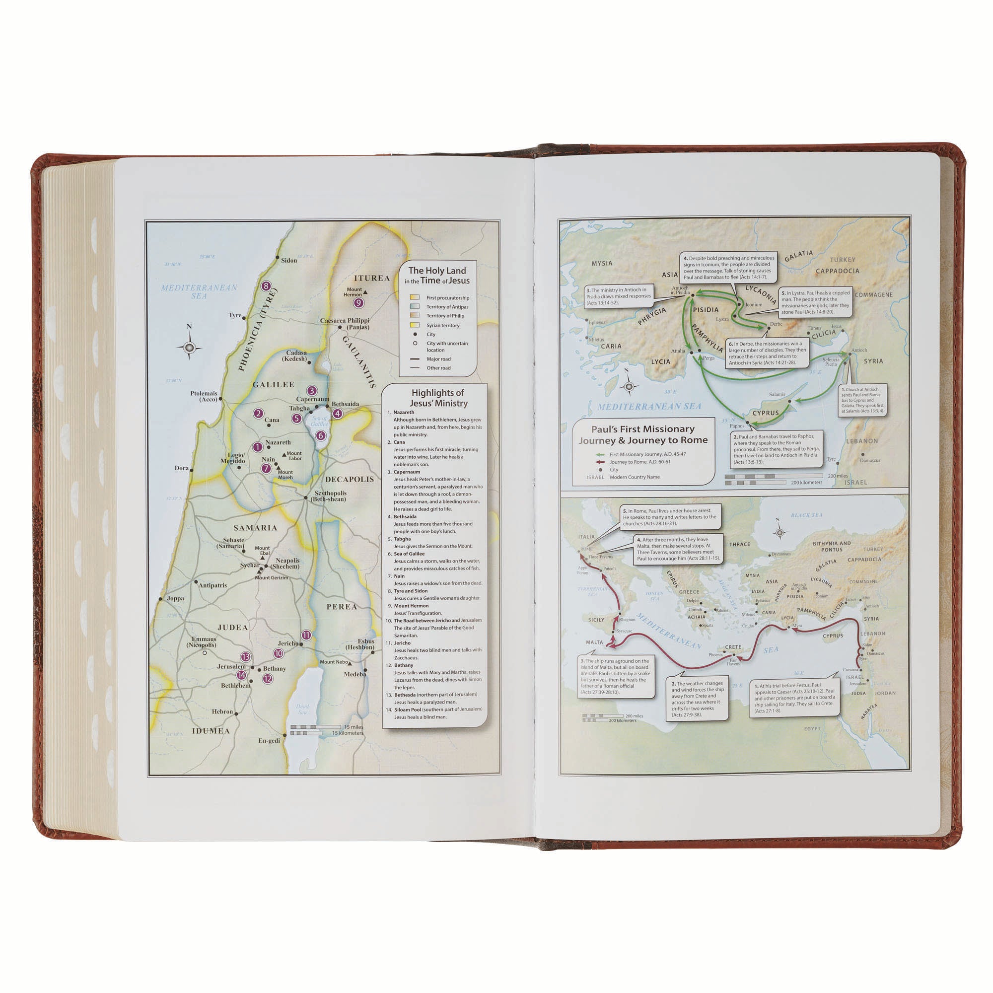 KJV Bible Giant Print Standard-size, Brown Trust Tree