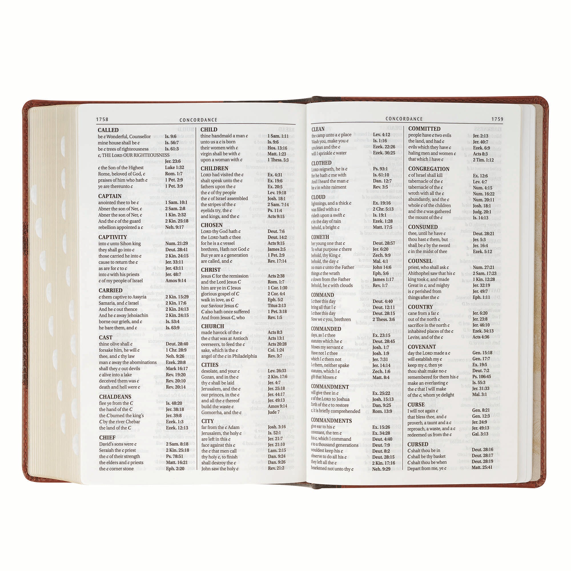 KJV Bible Giant Print Standard-size, Brown Trust Tree