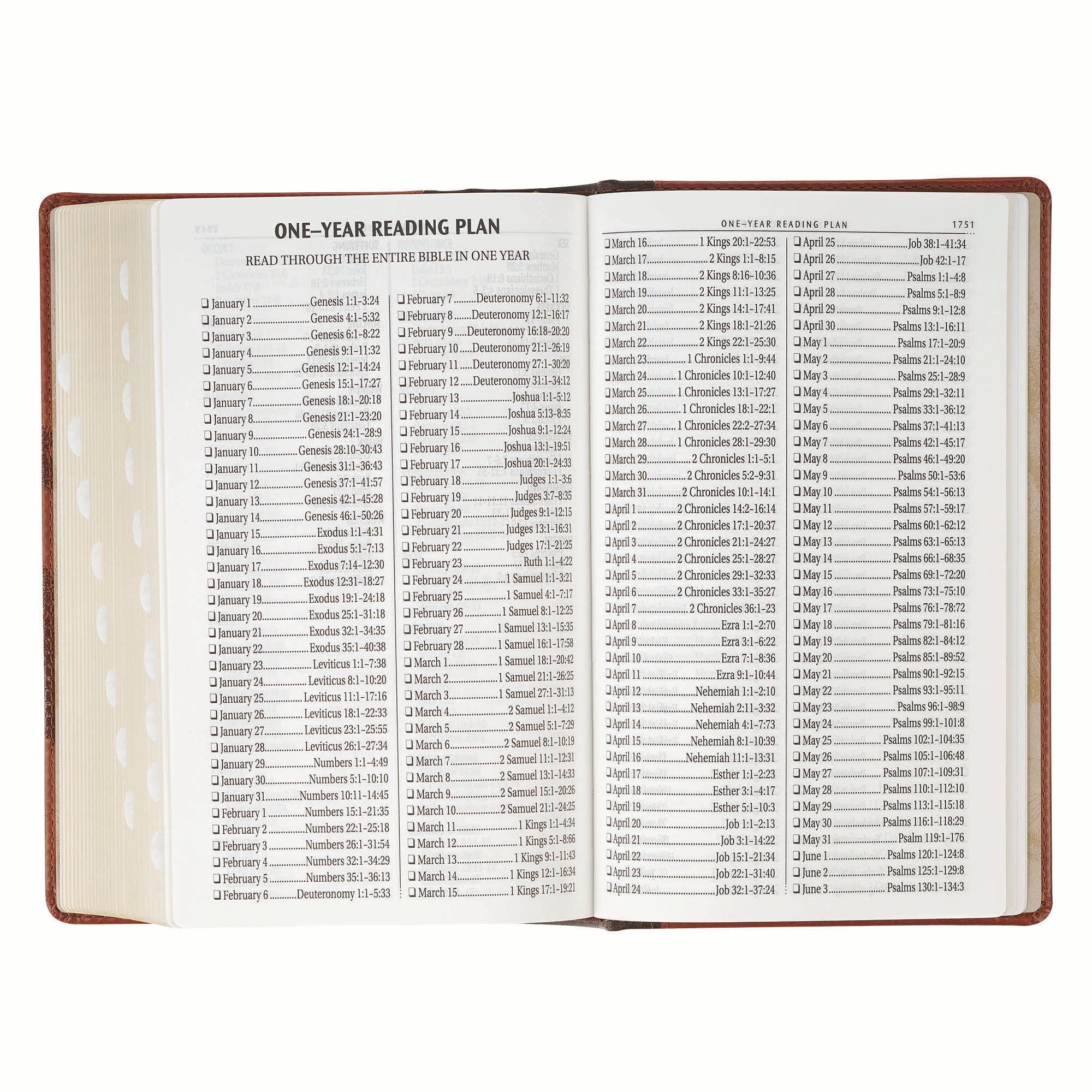KJV Bible Giant Print Standard-size, Brown Trust Tree