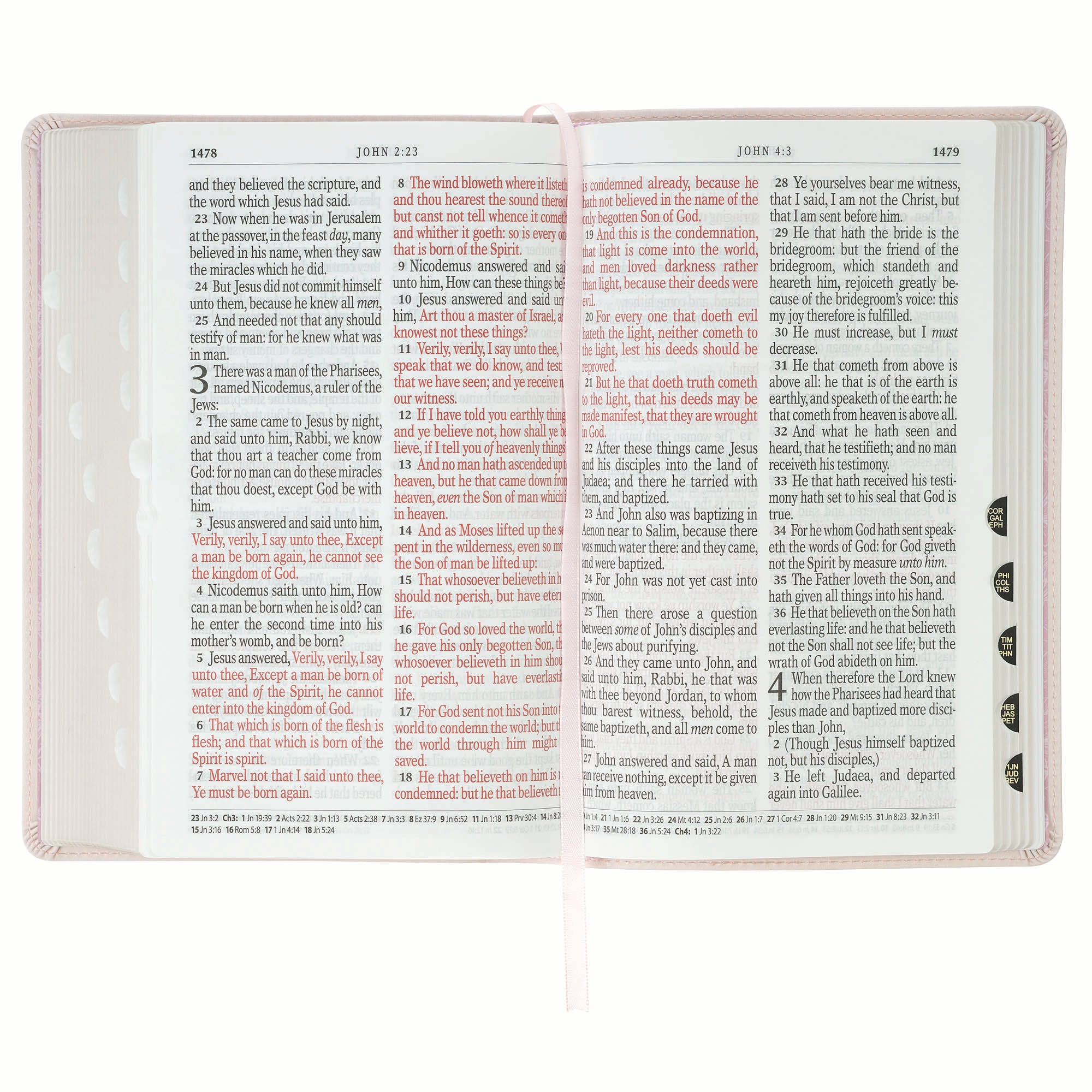 KJV Bible Giant Print Standard-size, Pink
