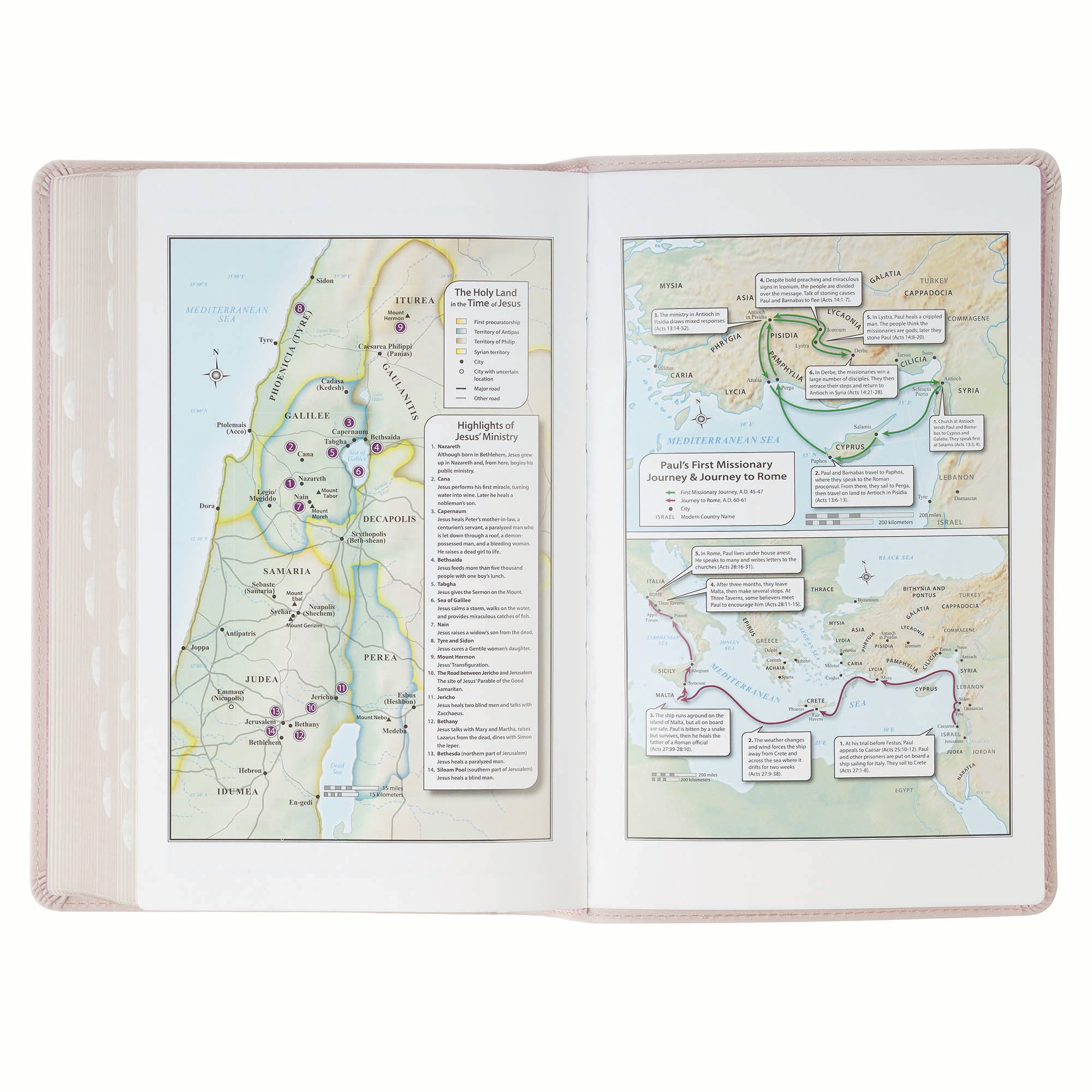 KJV Bible Giant Print Standard-size, Pink