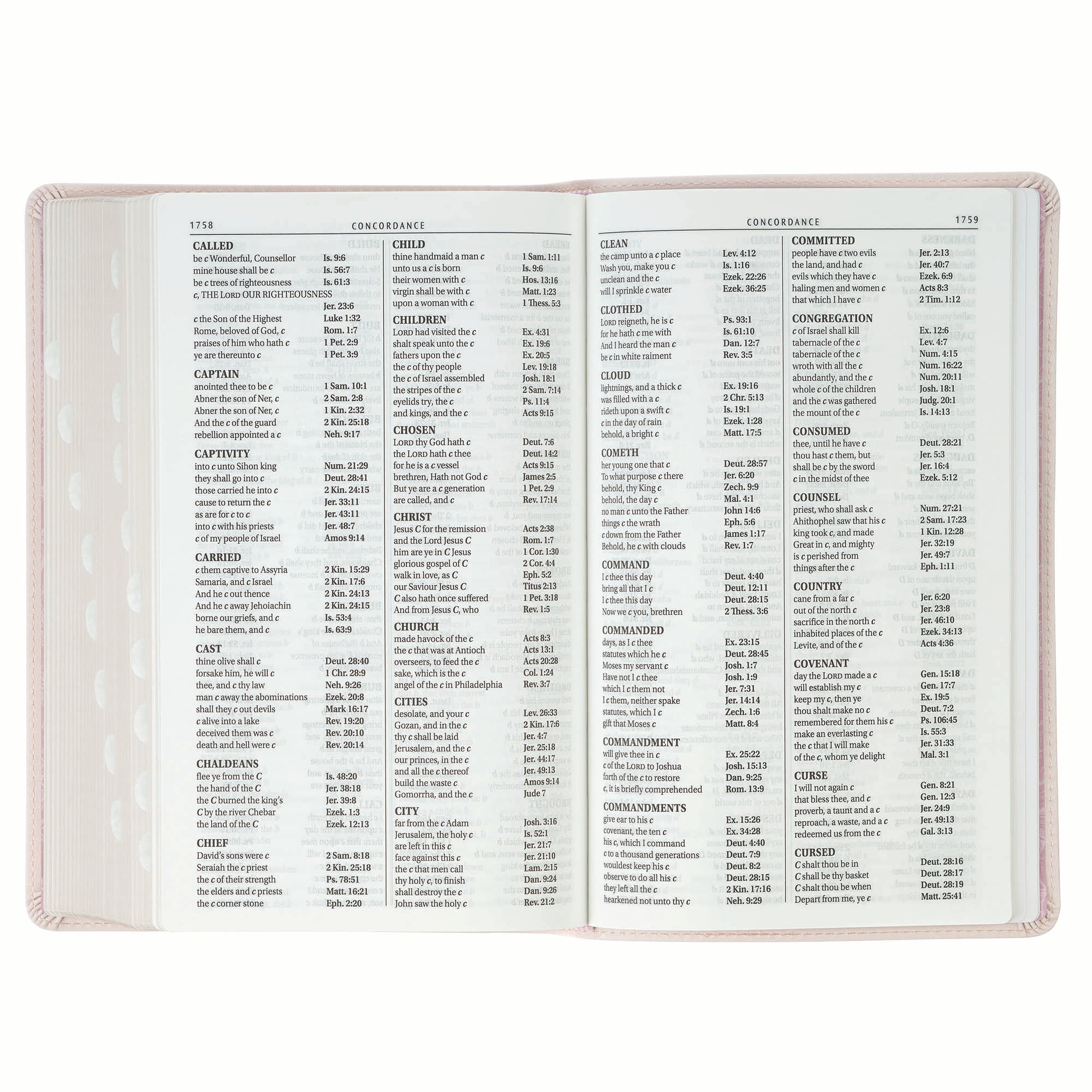 KJV Bible Giant Print Standard-size, Pink