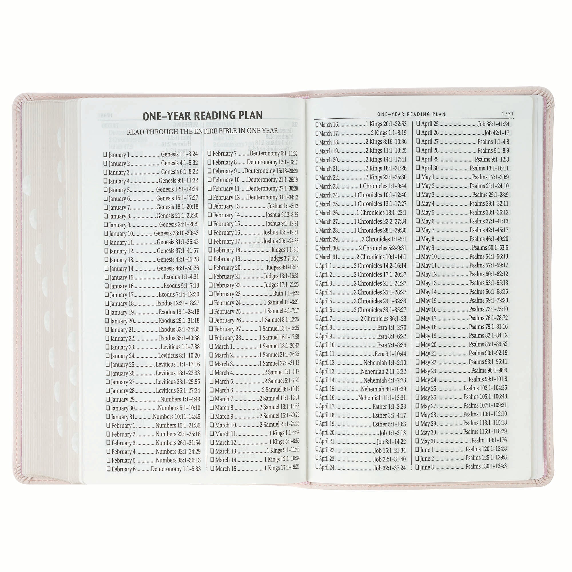 KJV Bible Giant Print Standard-size, Pink