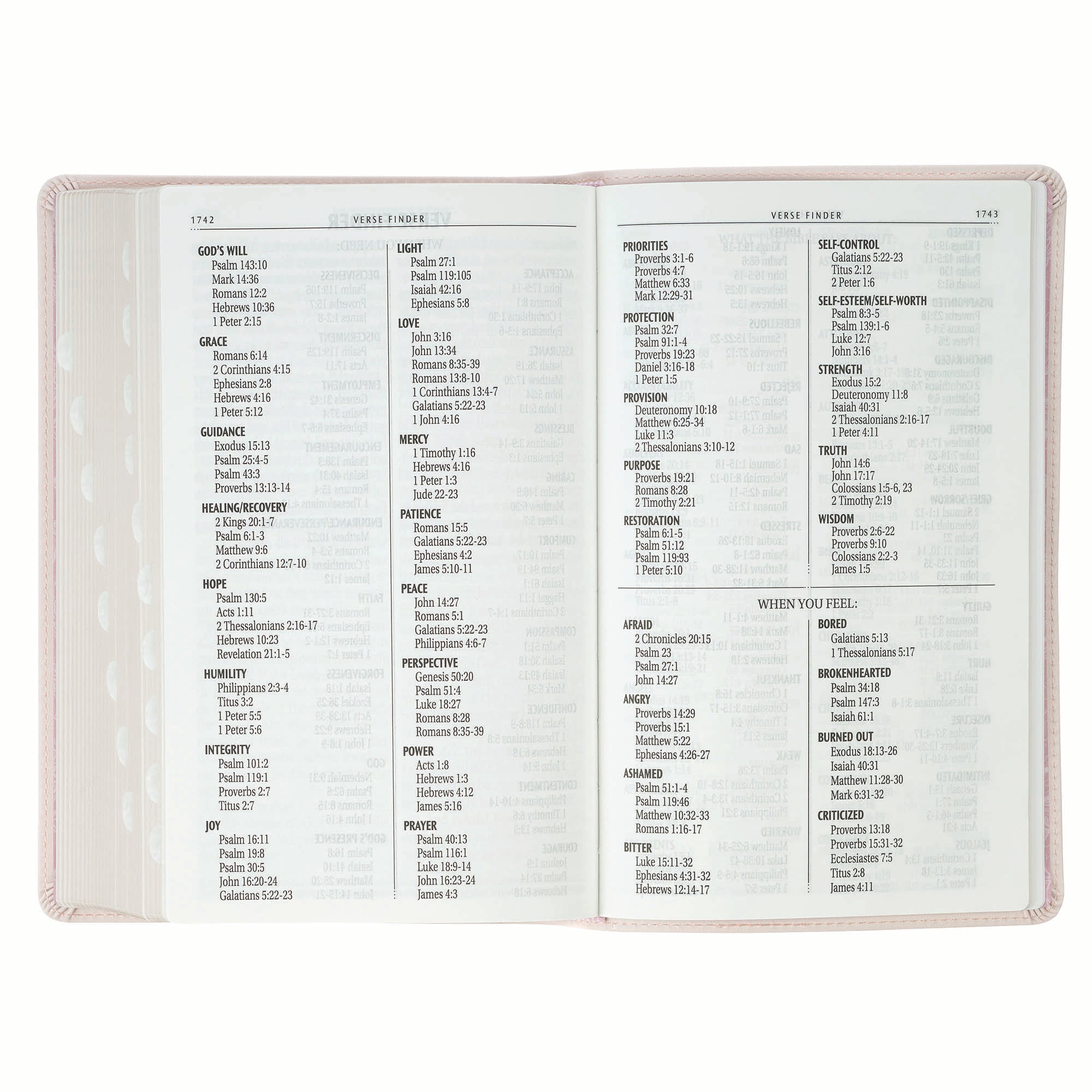 KJV Bible Giant Print Standard-size, Pink