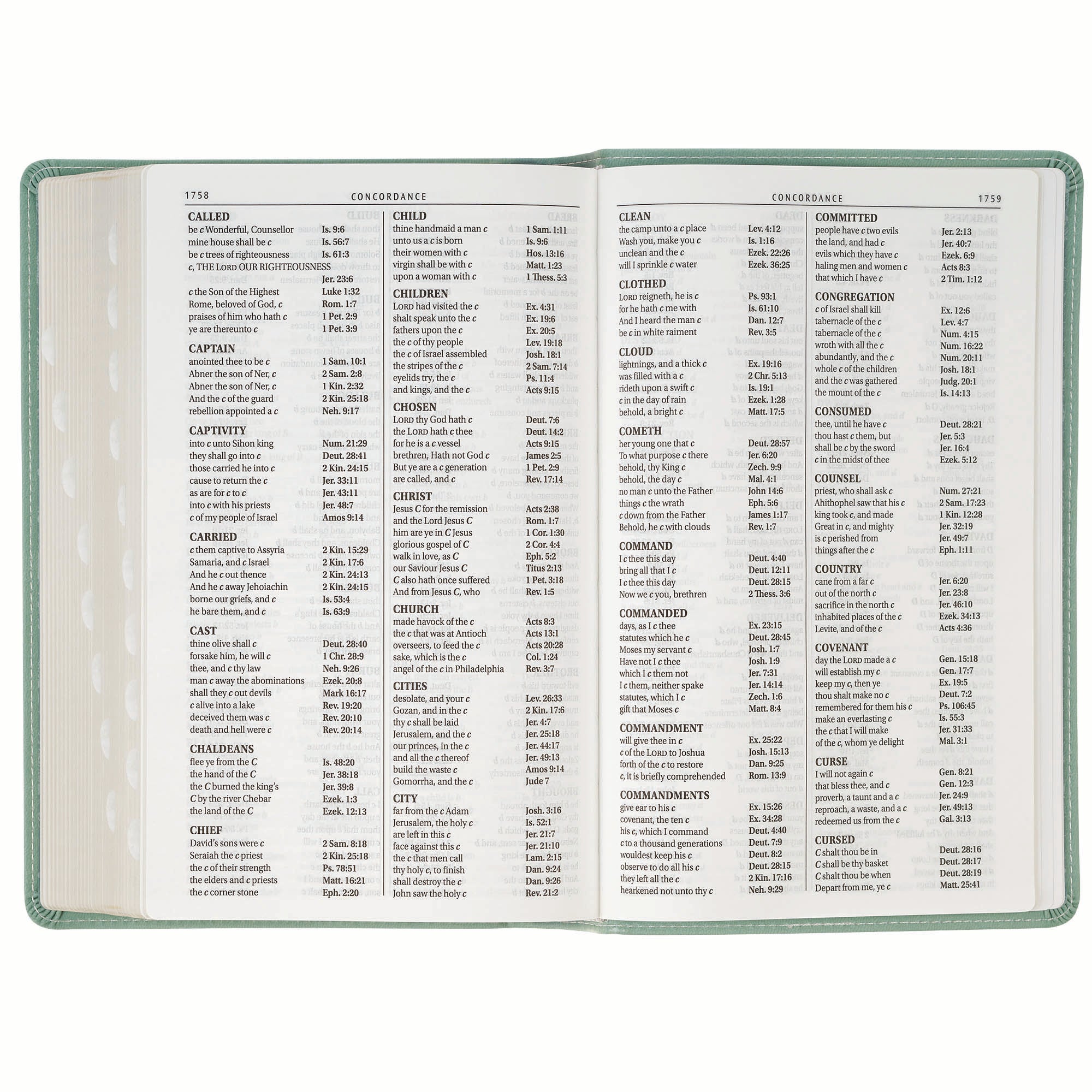 KJV Bible Giant Print Standard-size, Teal