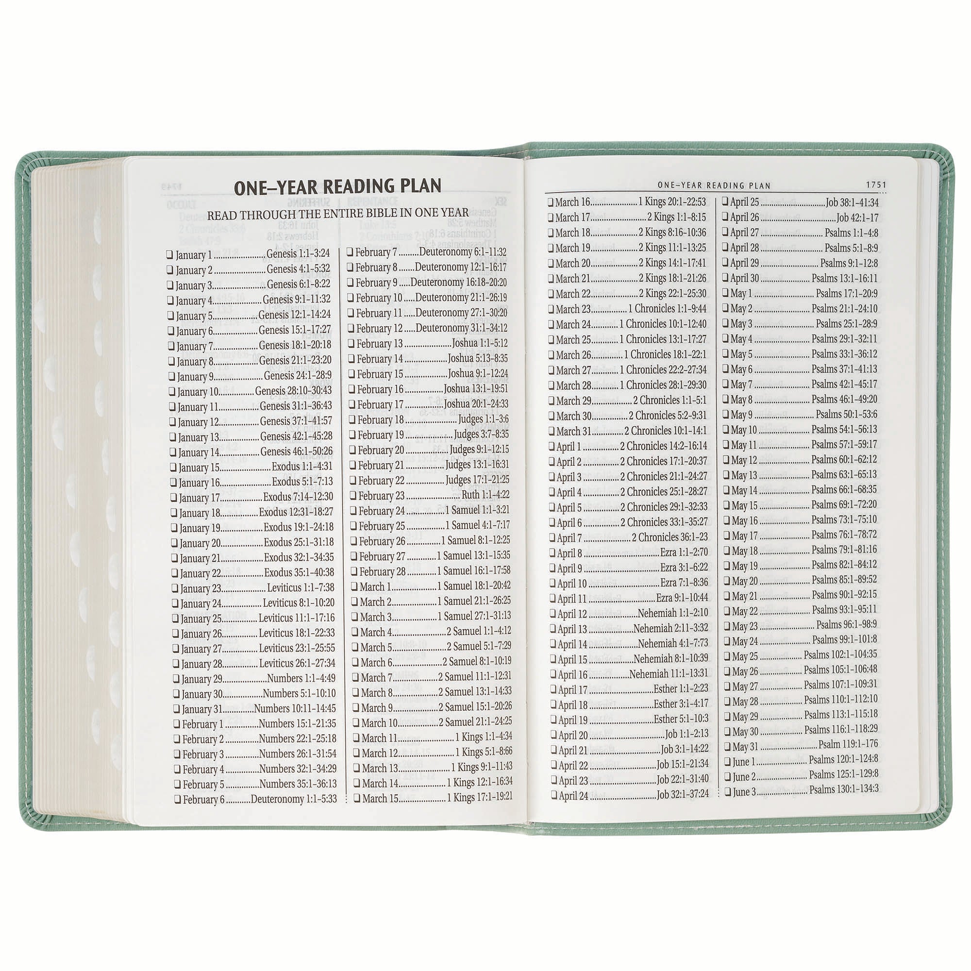 KJV Bible Giant Print Standard-size, Teal