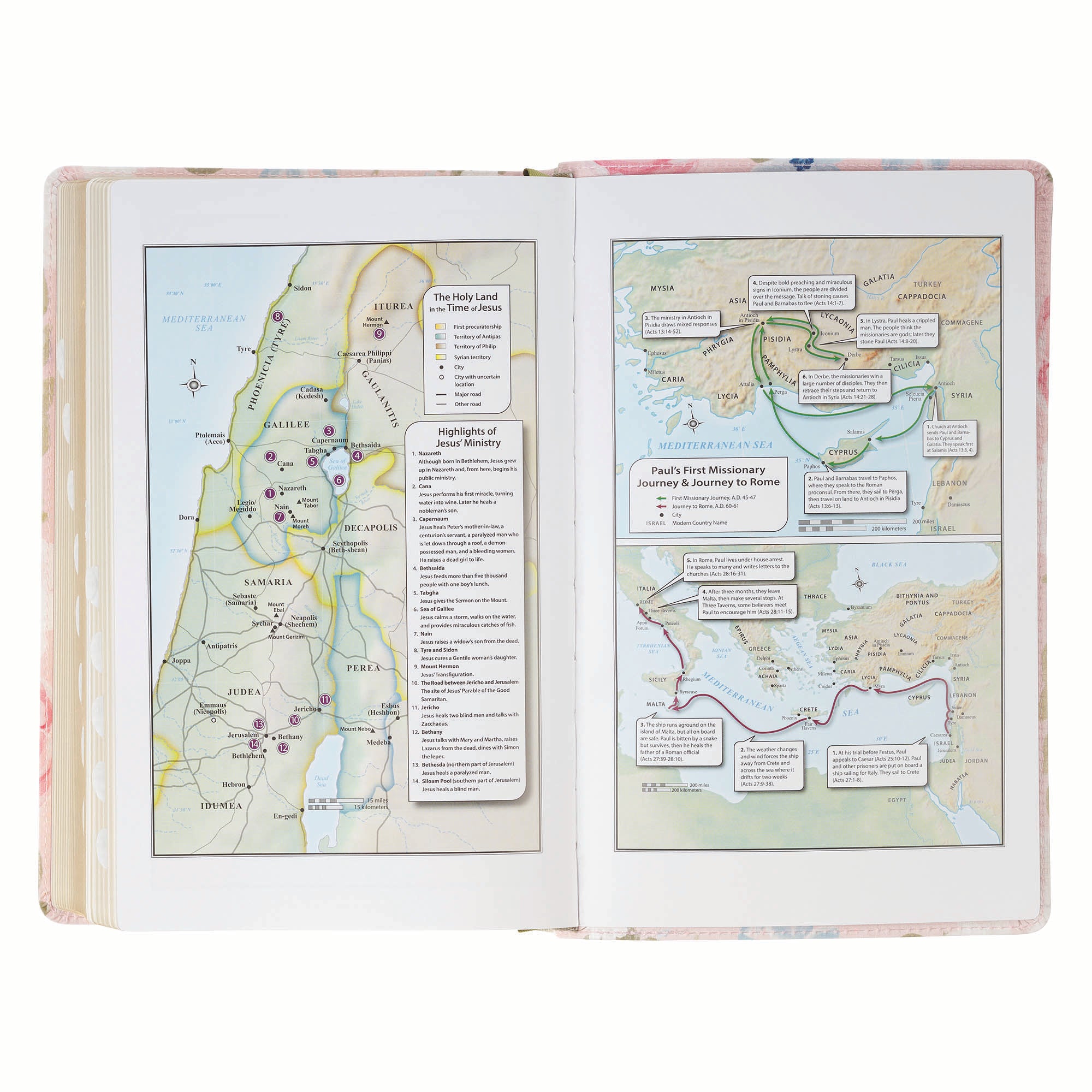 KJV Bible Giant Print Standard-size Pink Floral Printed (Jer. 29:11)